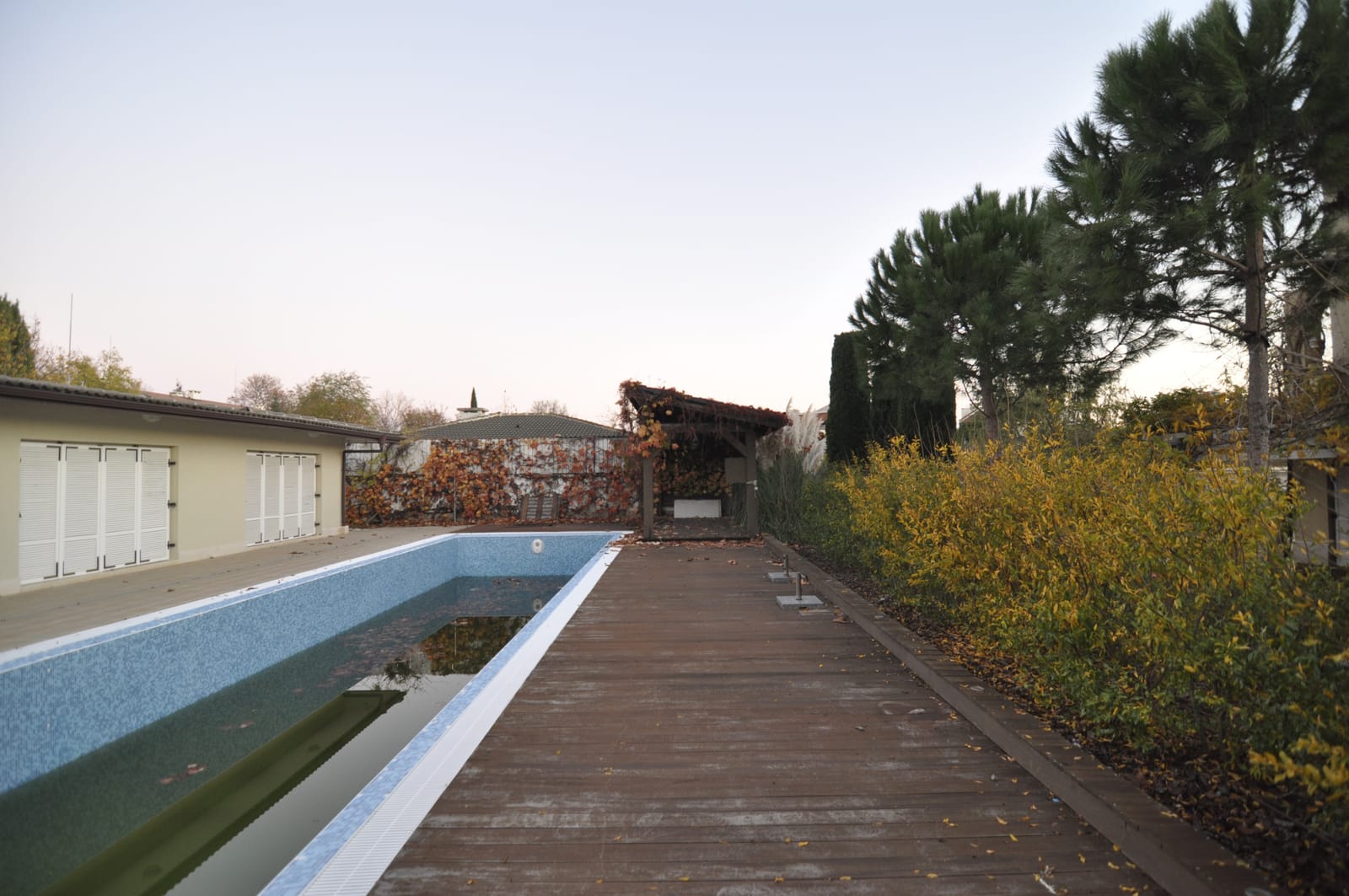 The Flower House - Photo 9