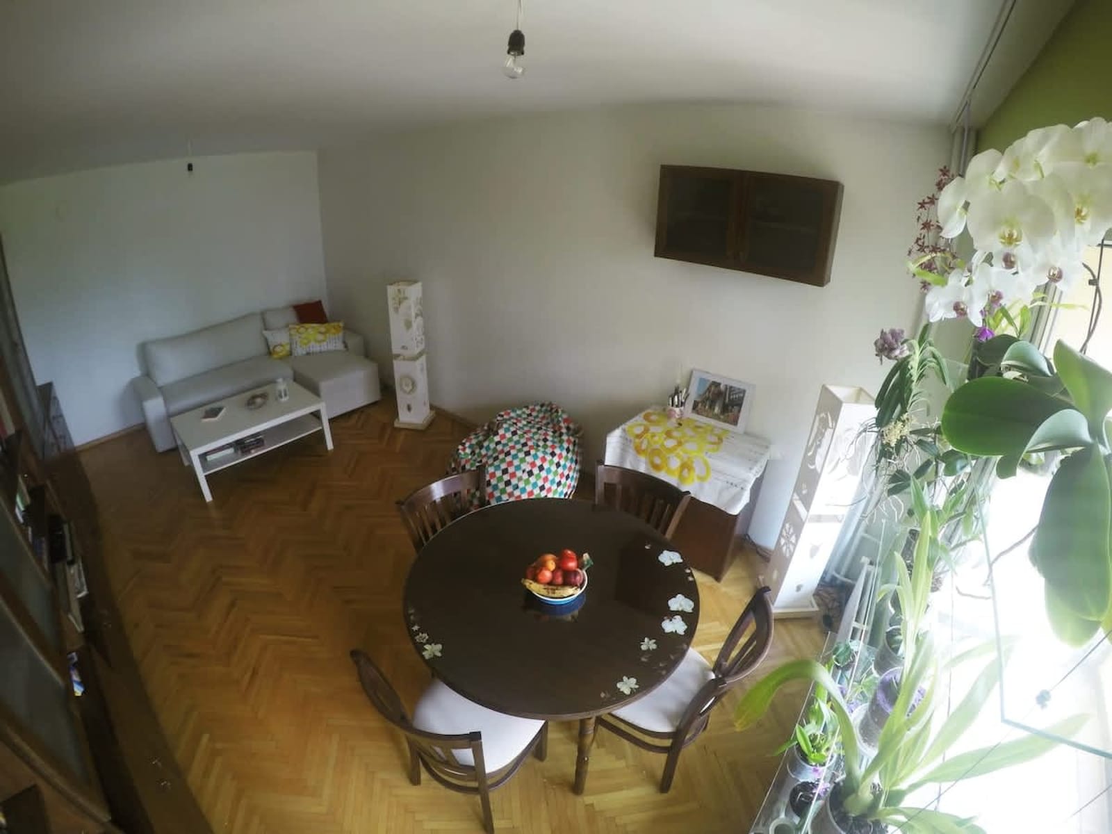 Beautiful Flat in Central Location - Photo 43