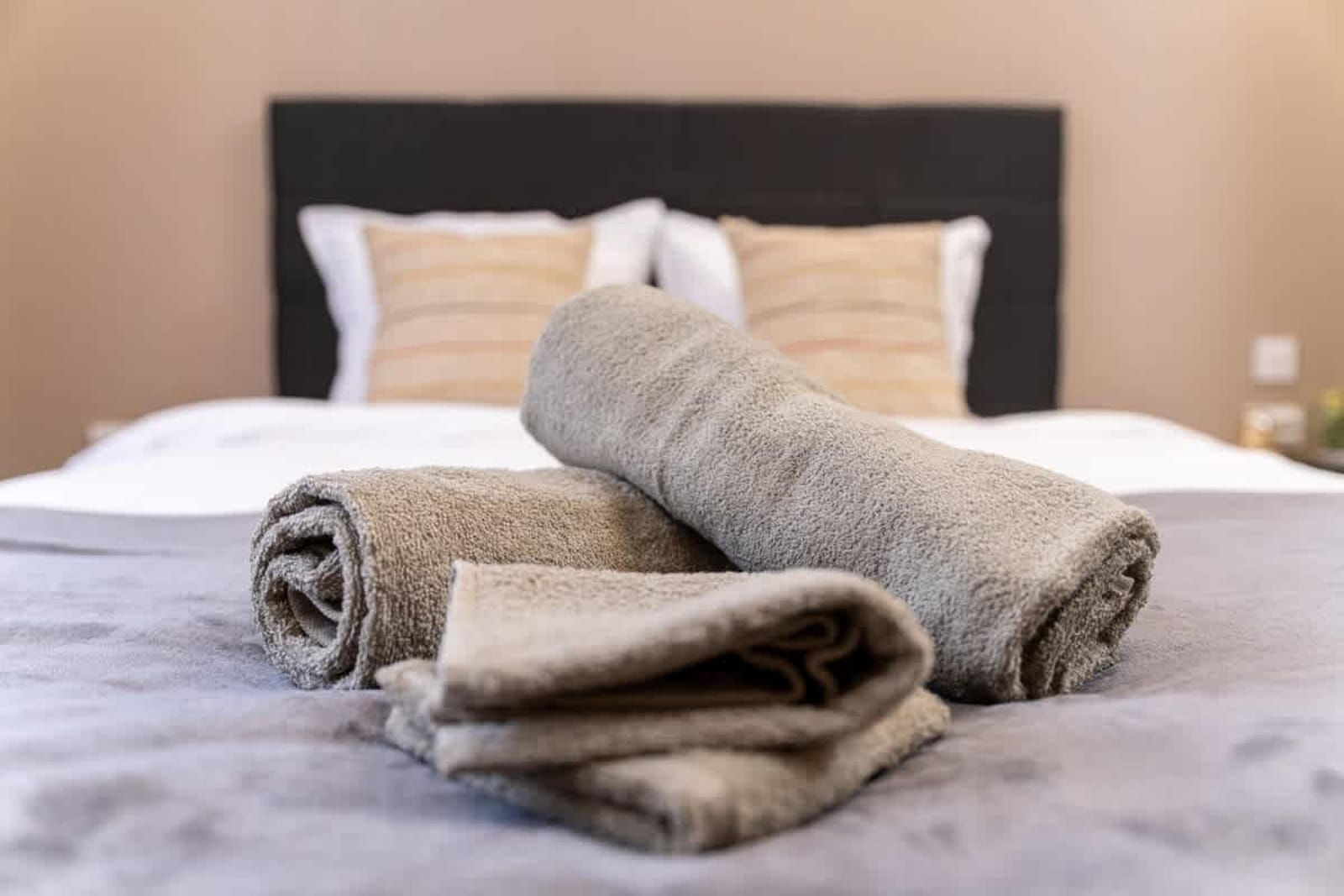 City Center Perfect 1-Bedroom Apartment - Photo 20