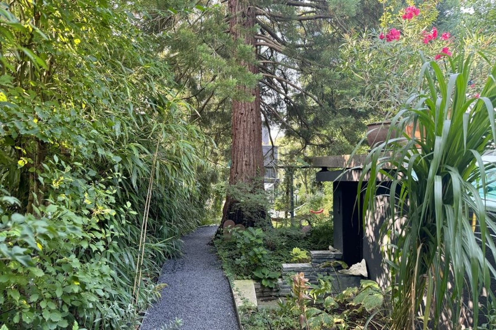 Location 271 - Photo 30