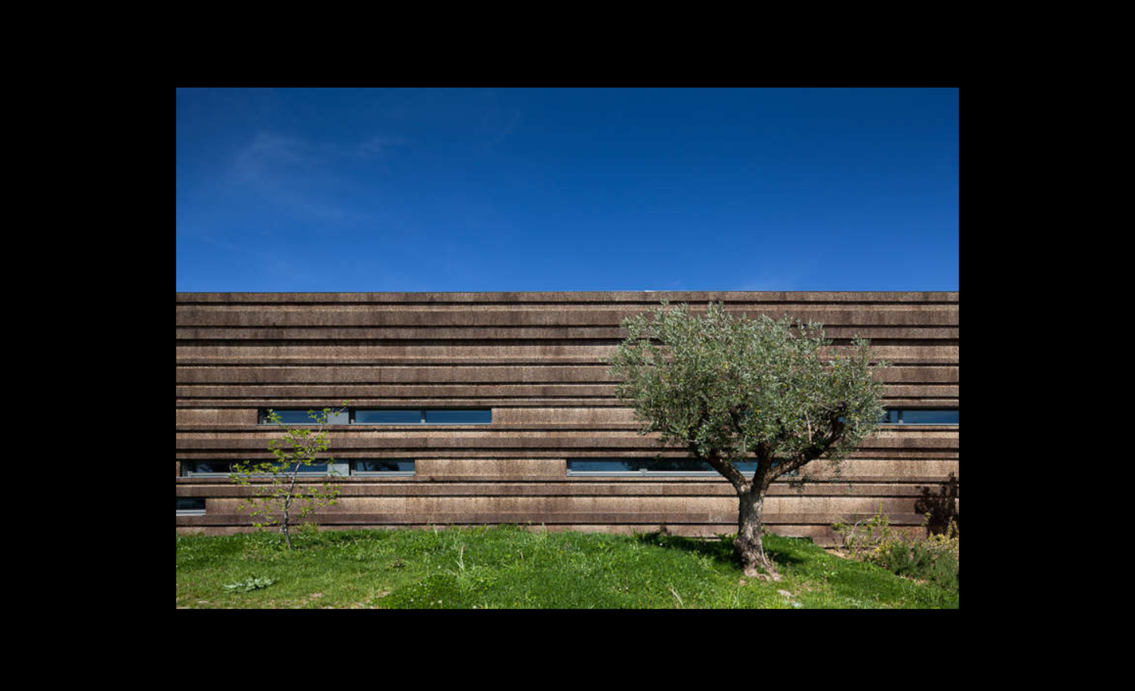 Logowines Winery - Photo 7