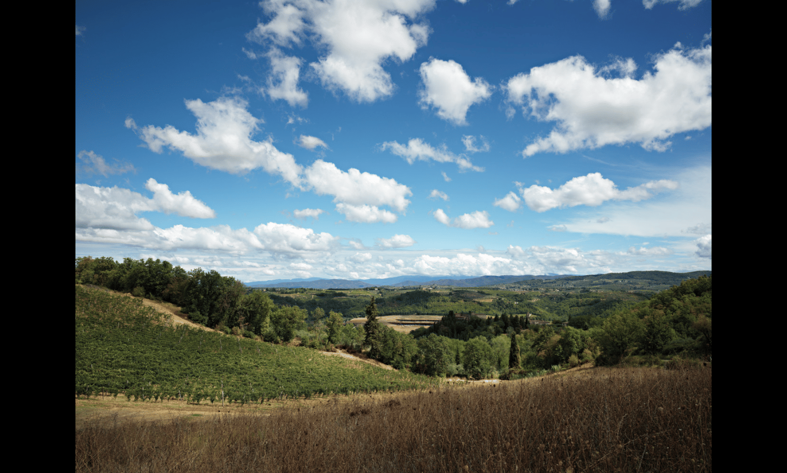 Antinori Winery - Photo 14