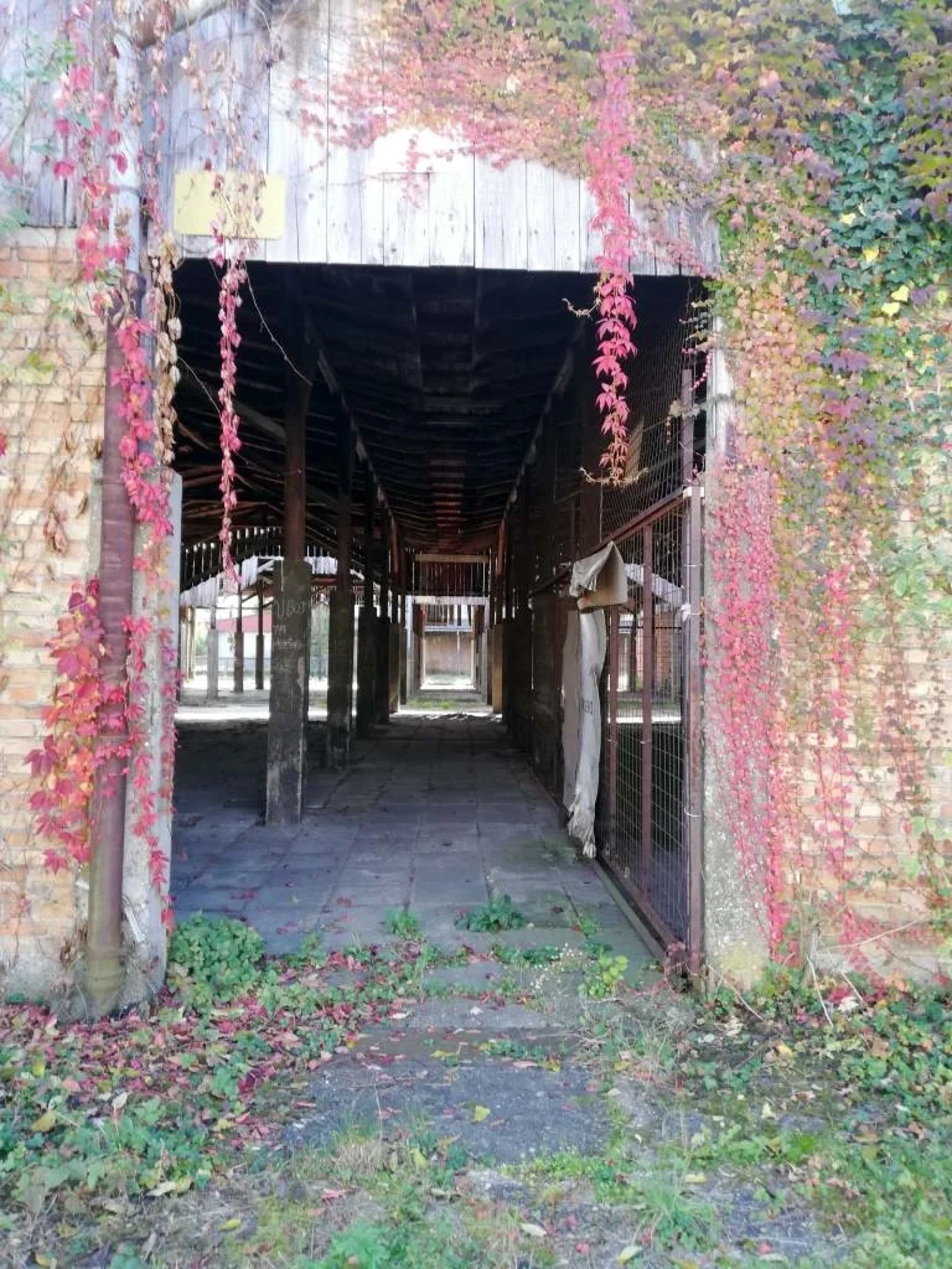 Beautiful Abandoned Factory - Photo 19