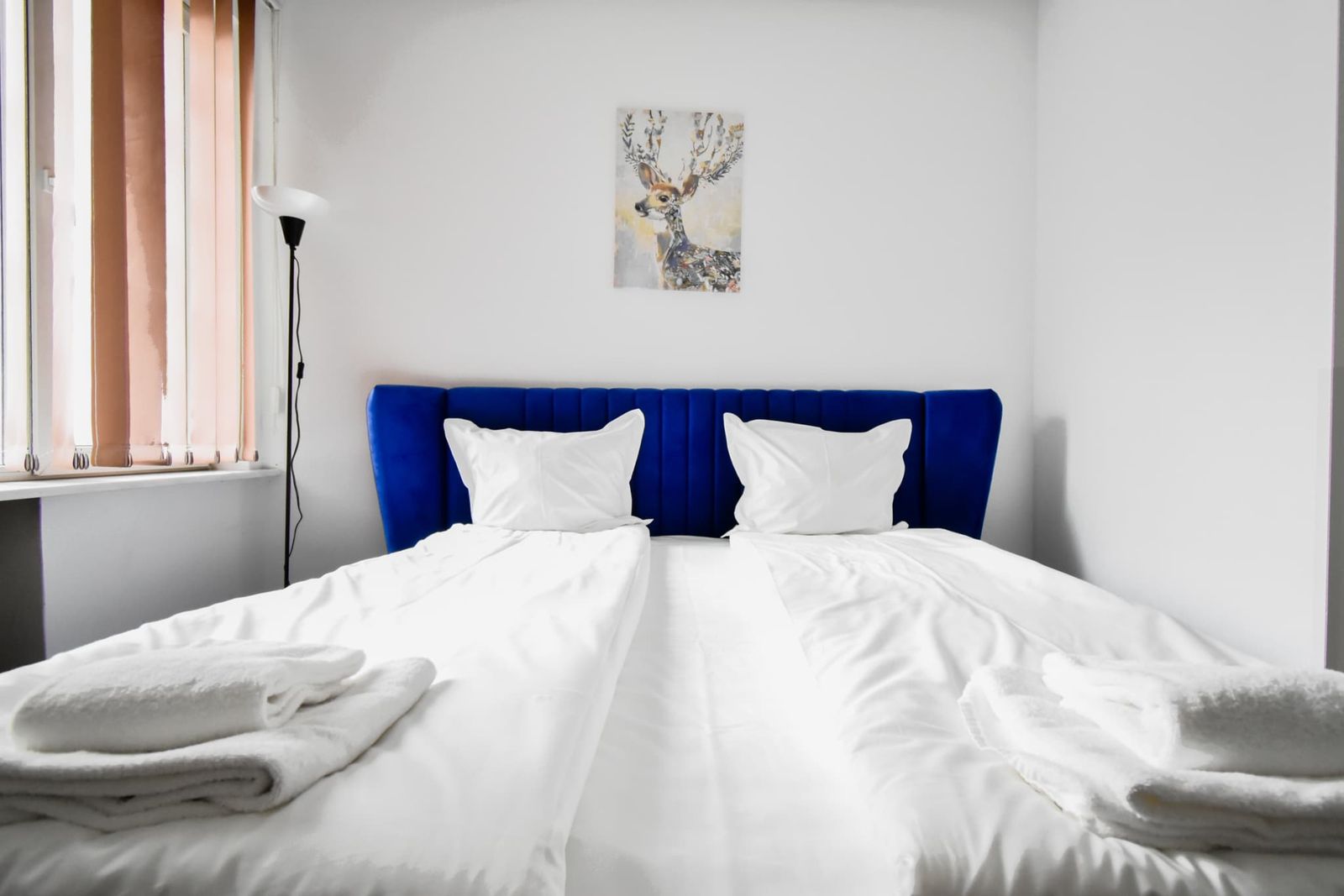 Cozy Central 1BD Apartment - Cover Photo