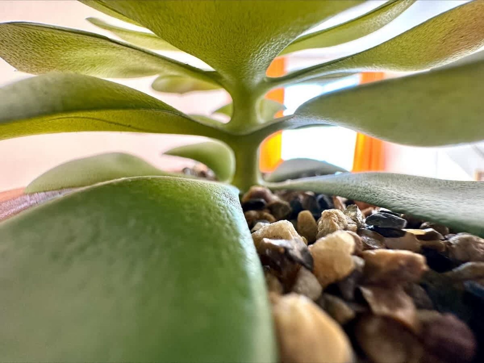 Cozy studio with balcon  Royal Sun - Photo 37