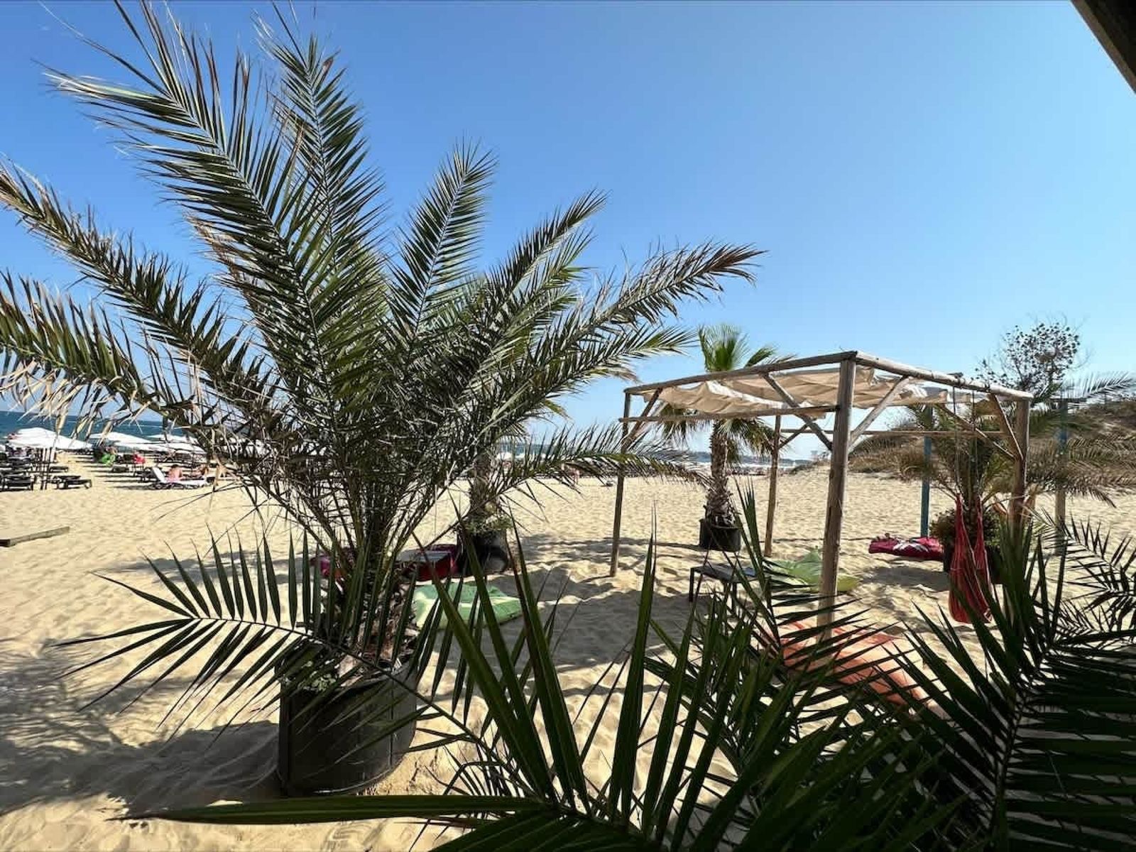 Miramar Palace Studio with Balcony - Photo 64