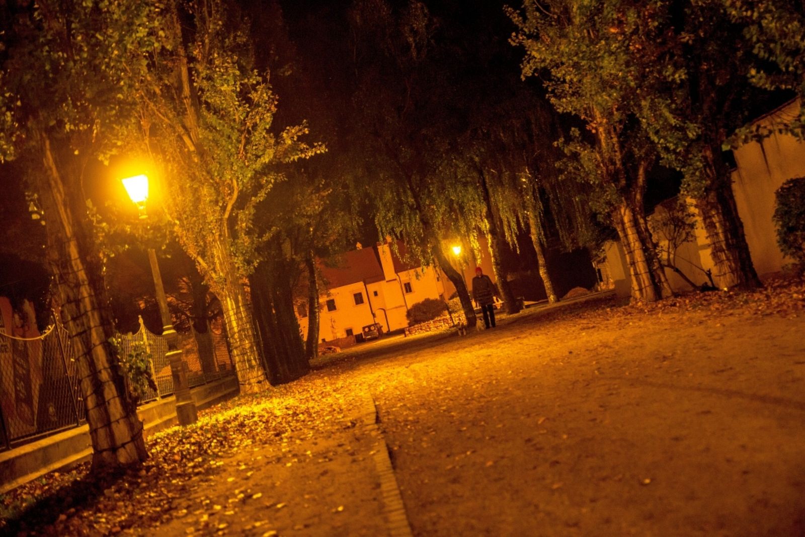 Exotic Castle - Photo 8