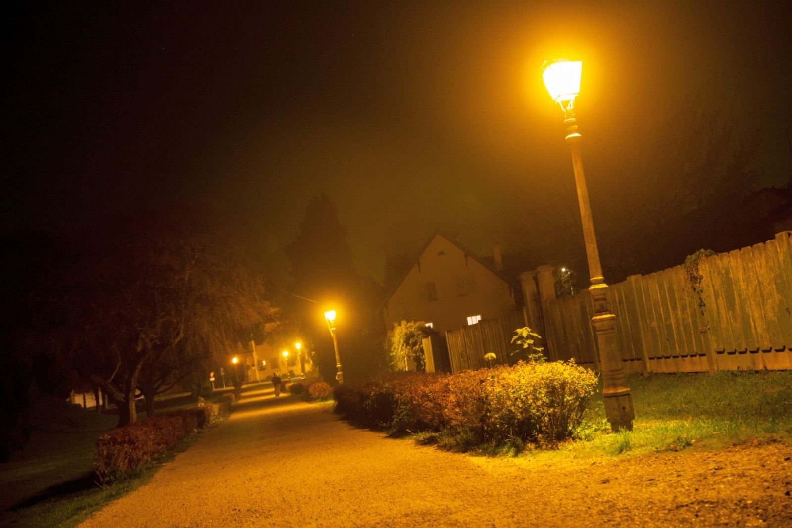 Exotic Castle - Photo 7