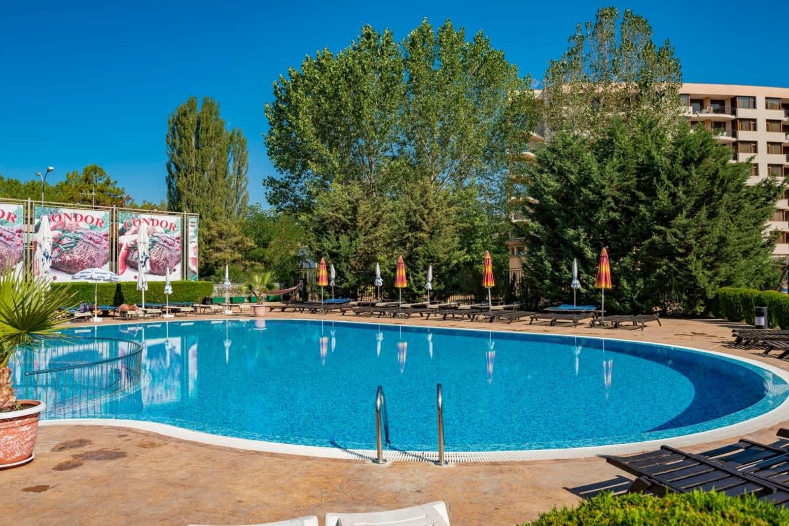 Cozy apartment in Sunny Beach Plaza - Photo 10