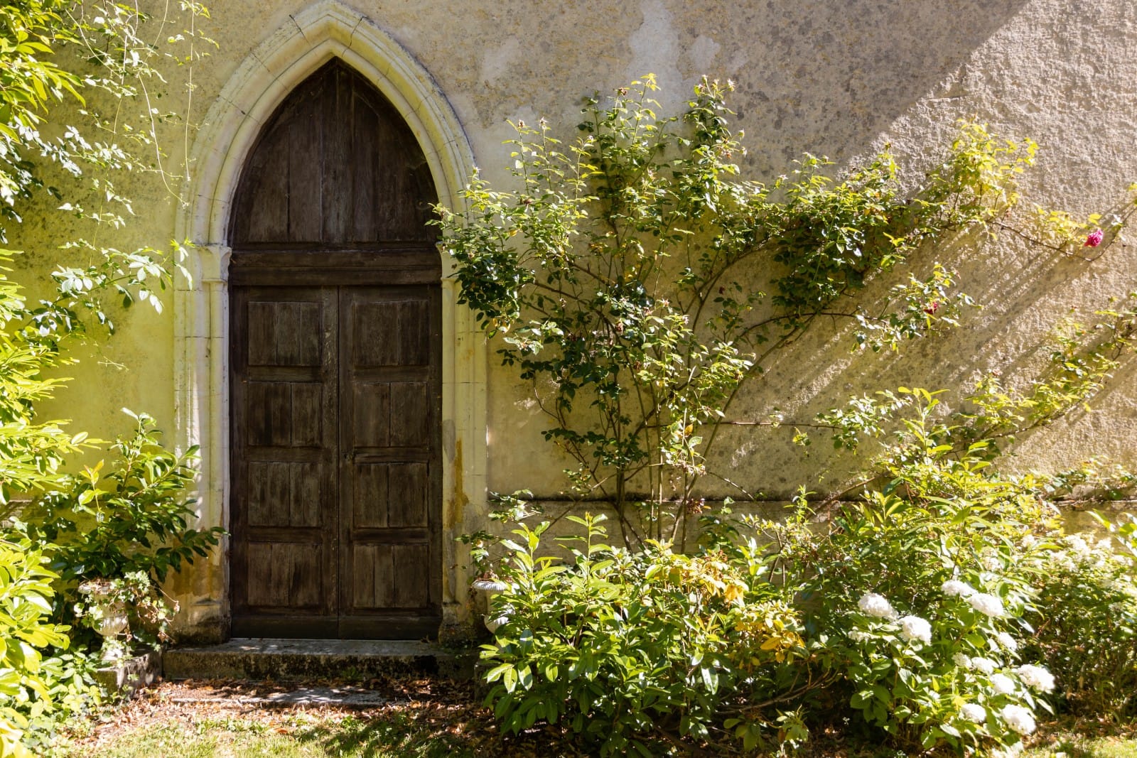 Authenticity and elegance in the Loire Valley, France - Photo 41