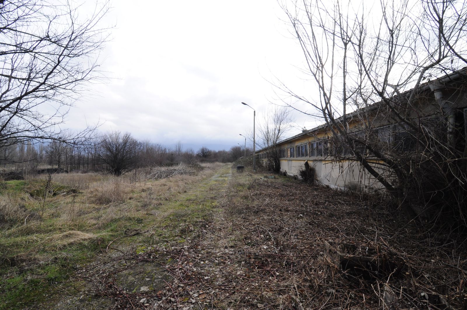 Industrial building - woodworking/carpentry shop, old cow barns - former collective farm from the socialist regime - Photo 11