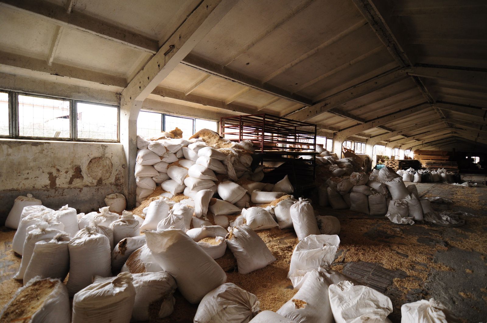 Industrial building - woodworking/carpentry shop, old cow barns - former collective farm from the socialist regime - Photo 48