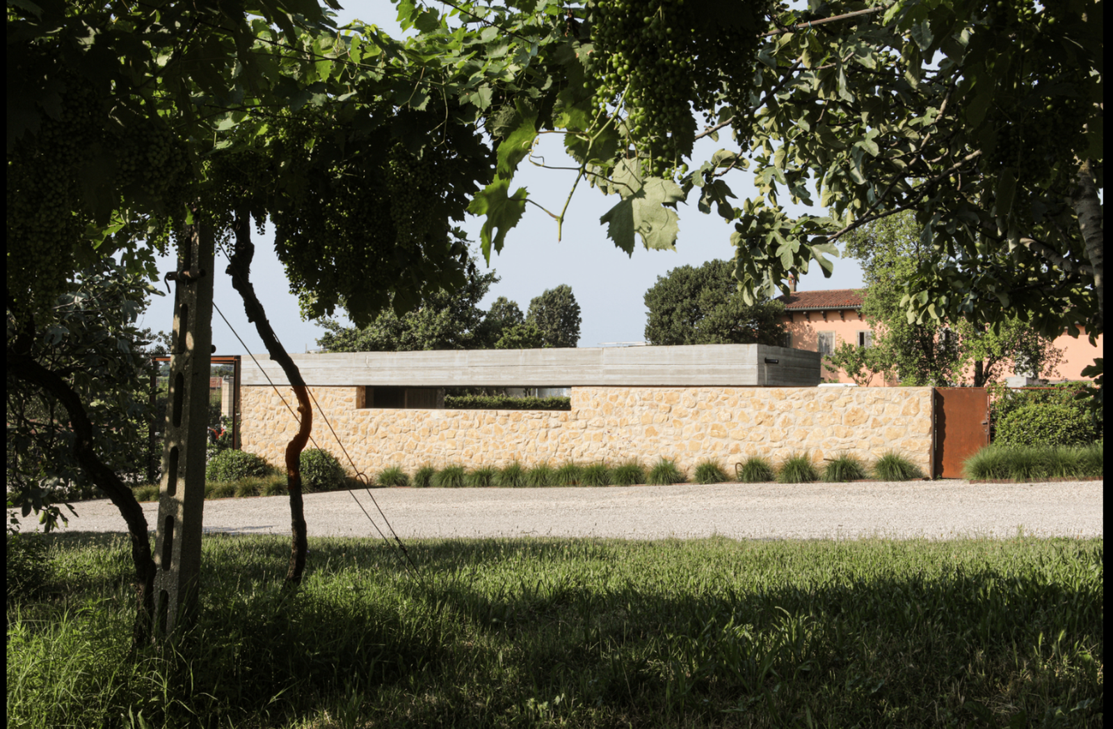 Il Brolo della Cantina Gorgo Winery - Photo 2