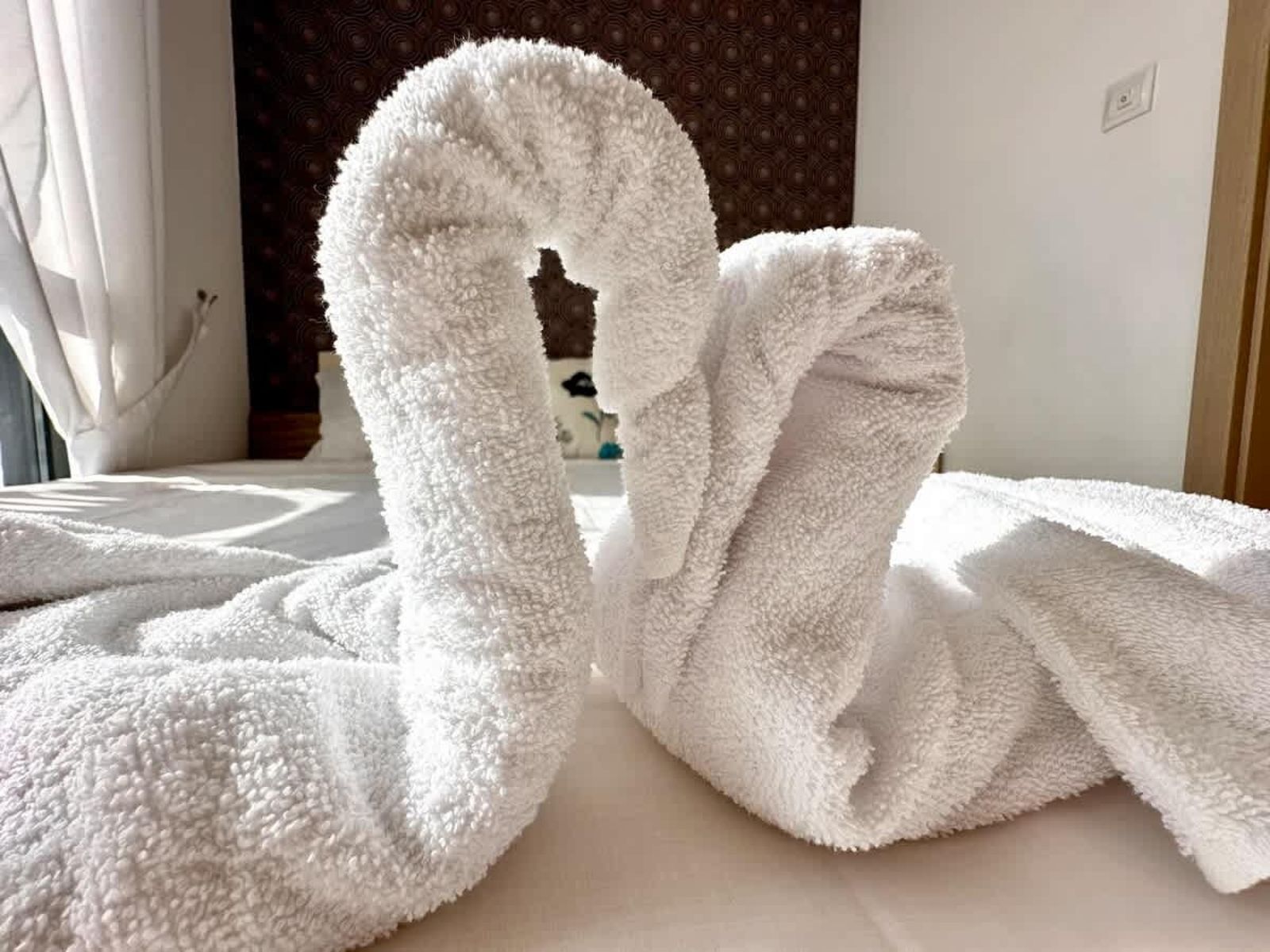 Cozy Rainbow 3  studio direct to the pool - Photo 10