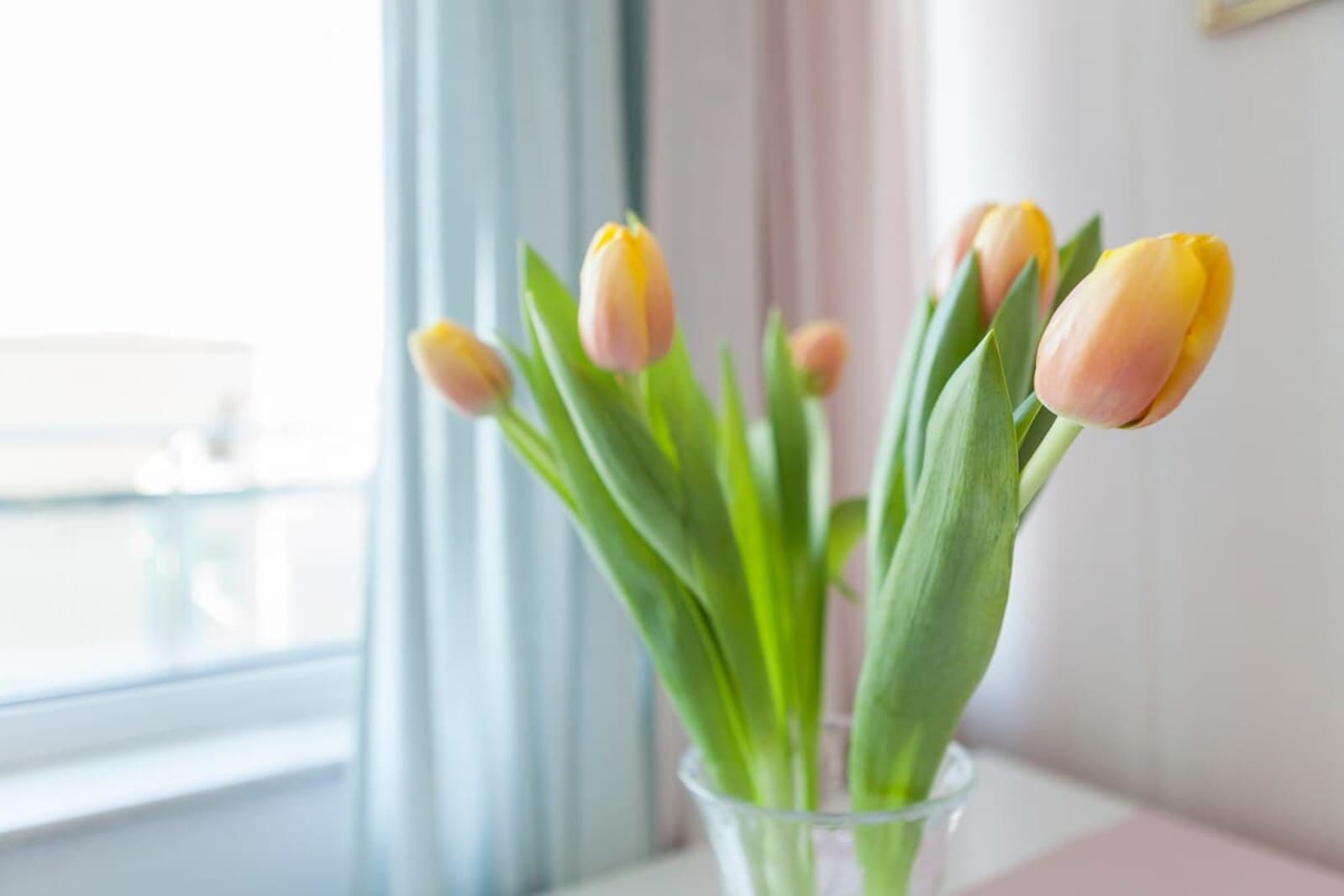 Tony's Sunny Rooftop Studio - Photo 15