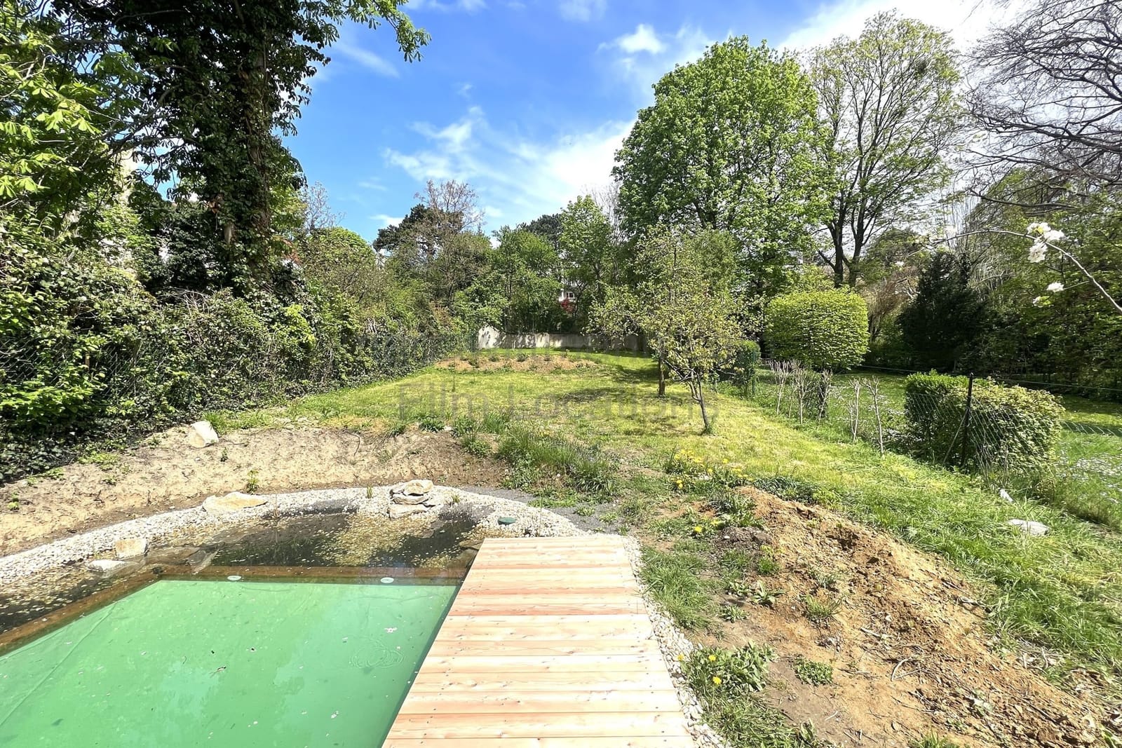 Location 238 - Photo 21