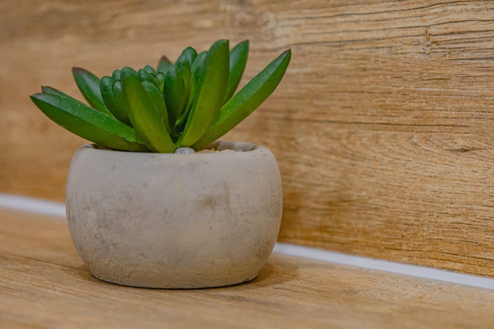 Modern 1BR Apt – Top Location, 4 min to Metro - Photo 20