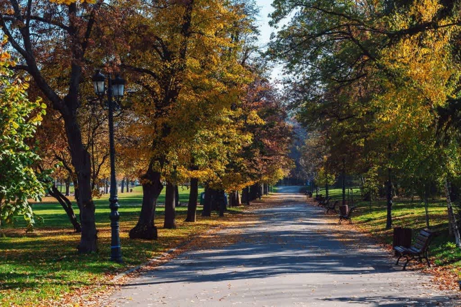 Sofia’s Best Area - Workspace+300 MBPS WiFi - Photo 27