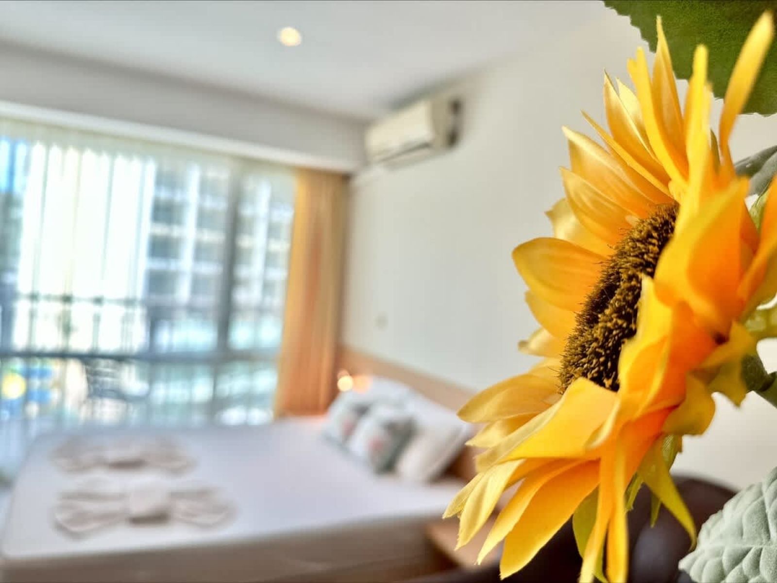 Miramar Palace Family Studio - Photo 27