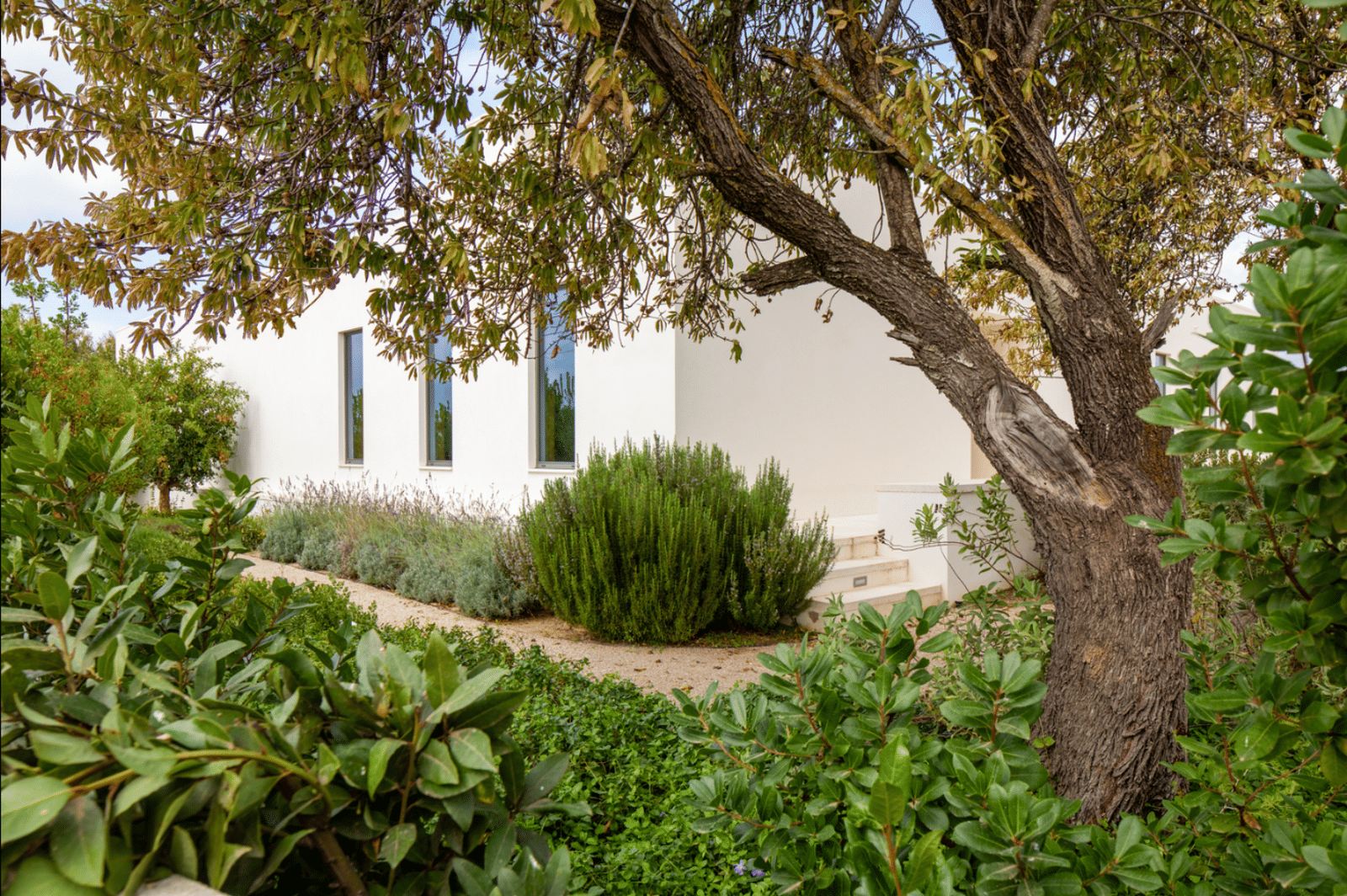 Courtyard House - Photo 17