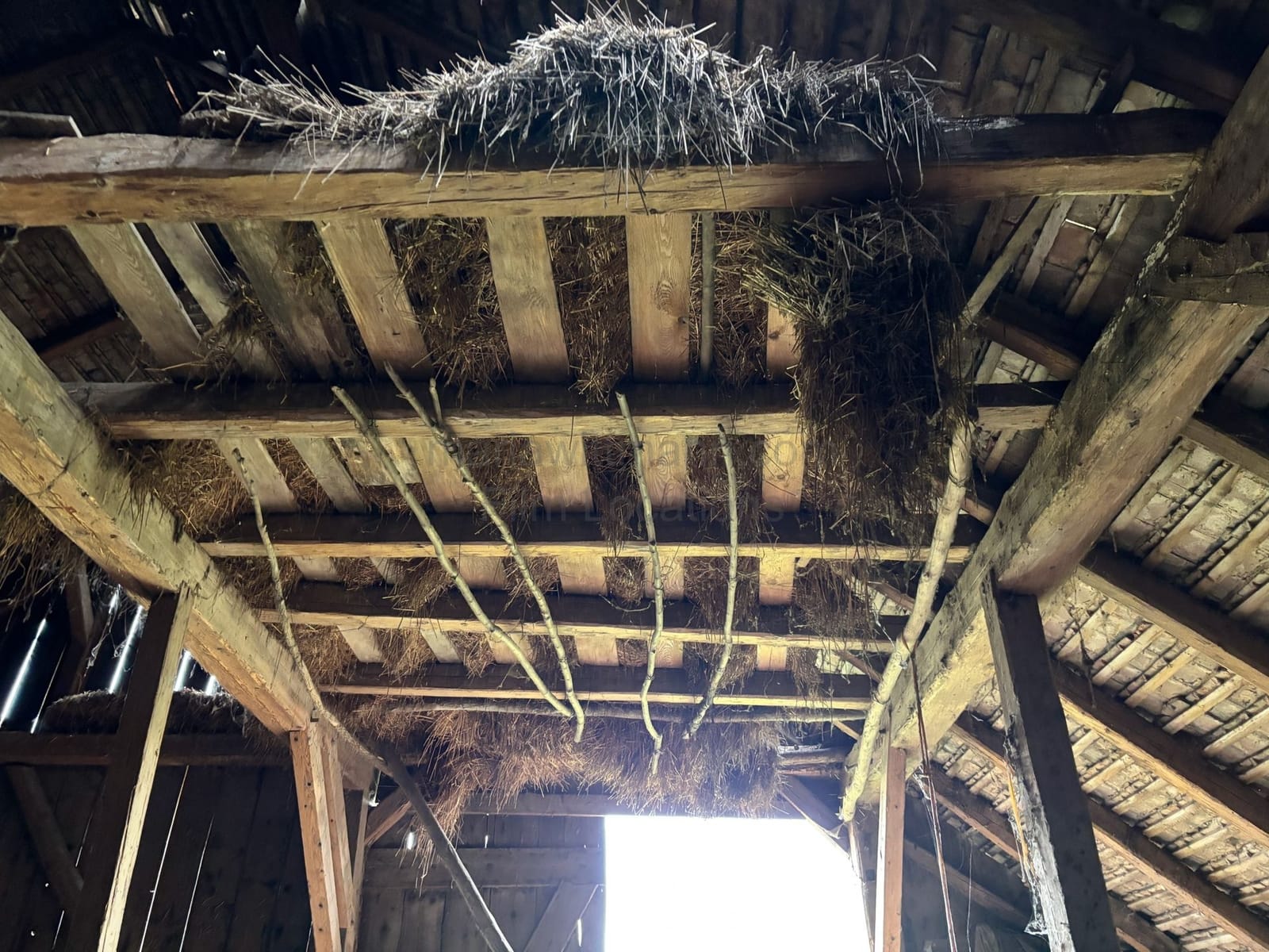 Location 510 - Photo 5