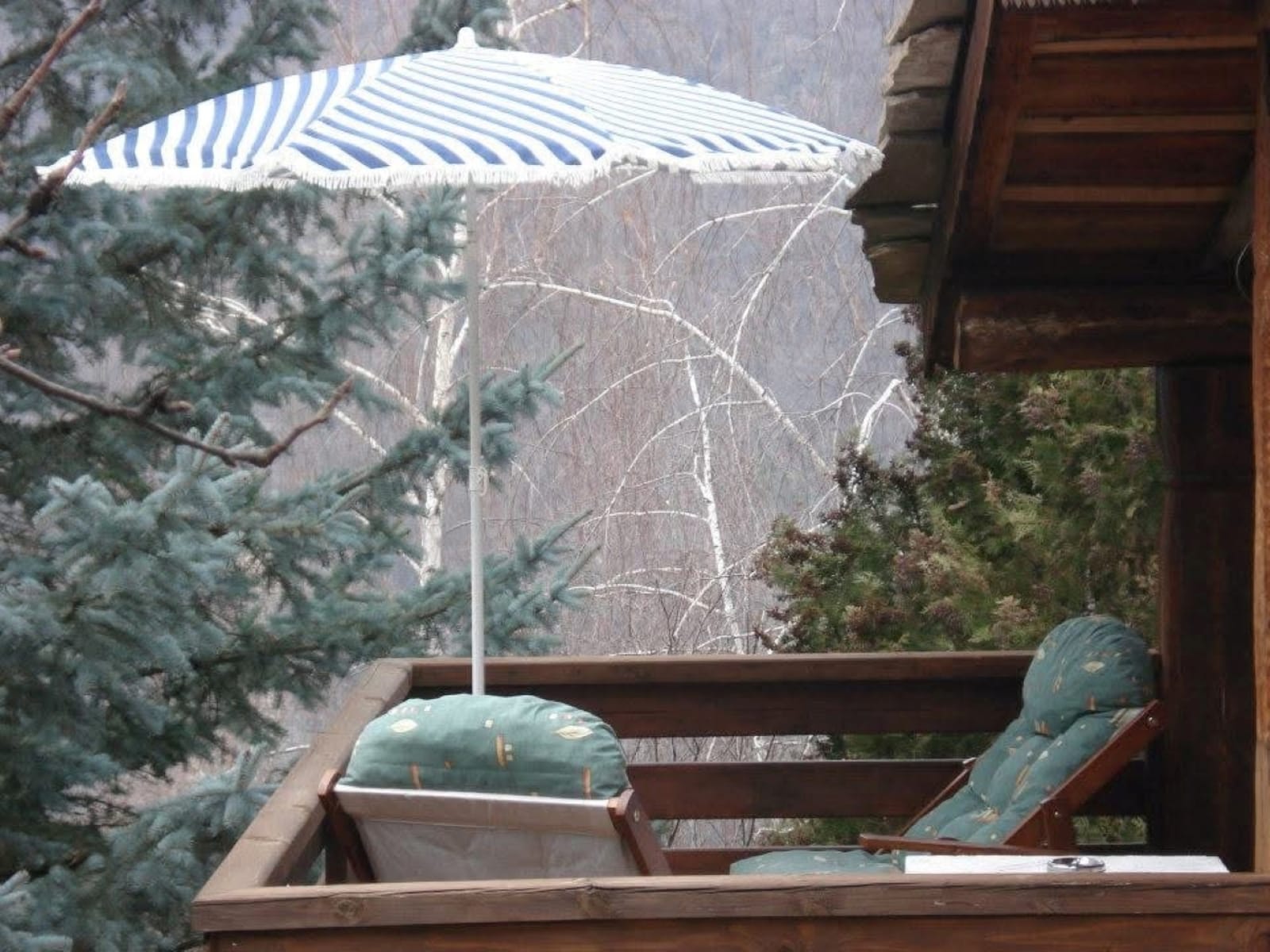 Old Marko's House Park and Lounge - Photo 15