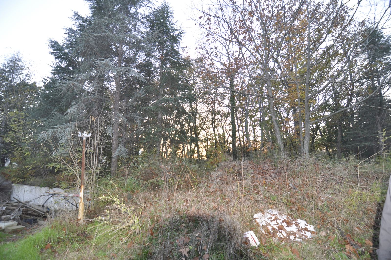 The Ghost Residence - Photo 128