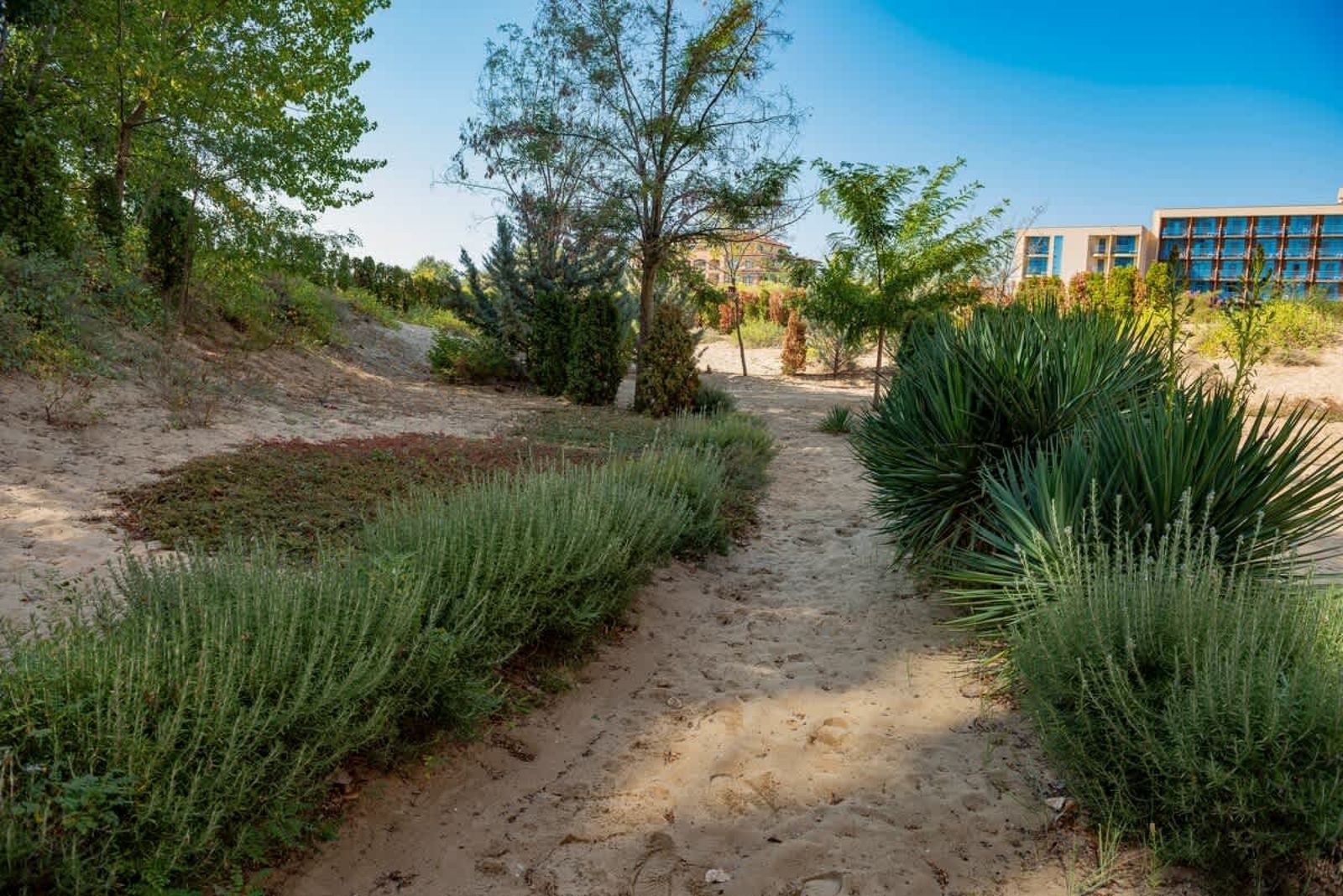 Cozy studio in Dune Residence - Photo 7