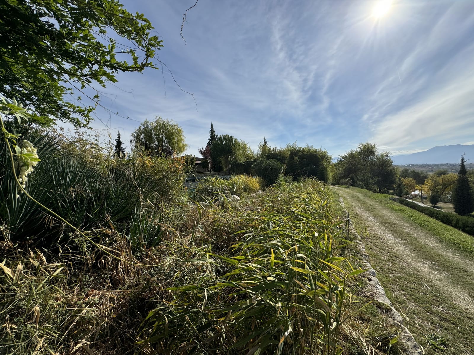 Zornitza Family Estate - Hotel - Photo 51