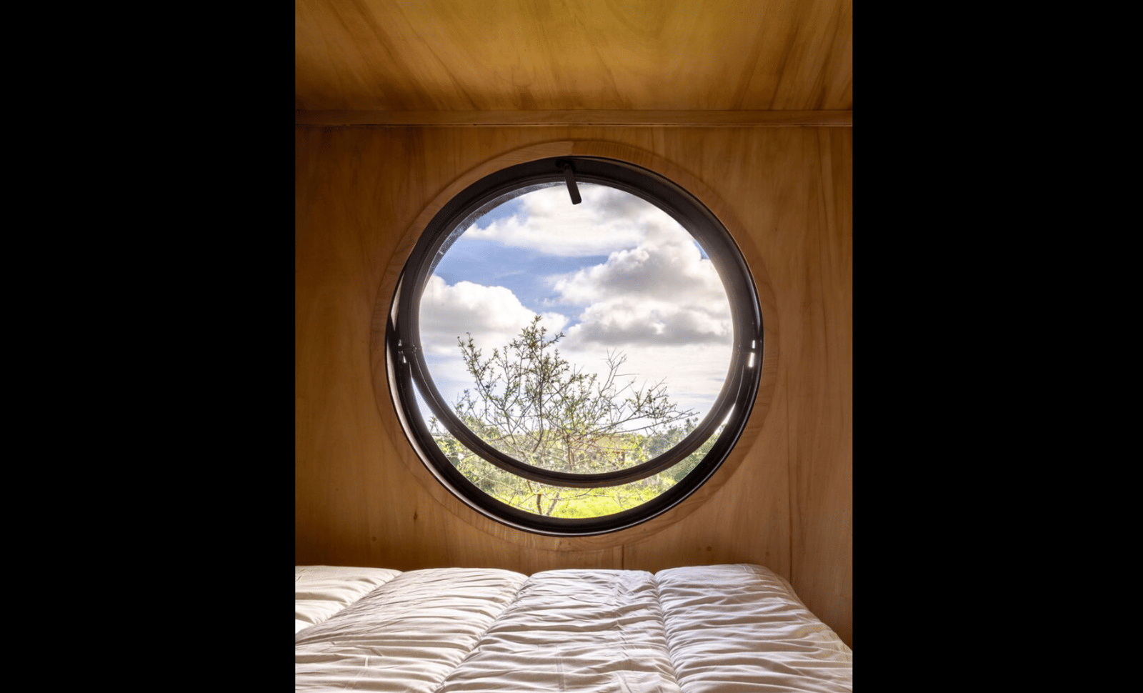 Cargo House - Photo 5