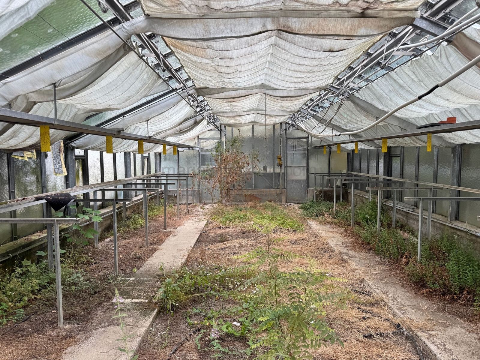 Location 500 - Photo 8