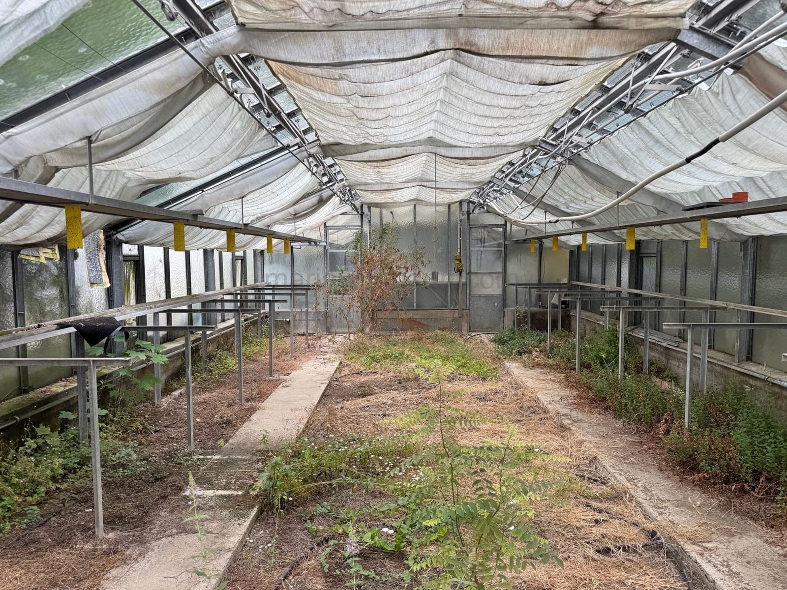 Location 500 - Photo 8