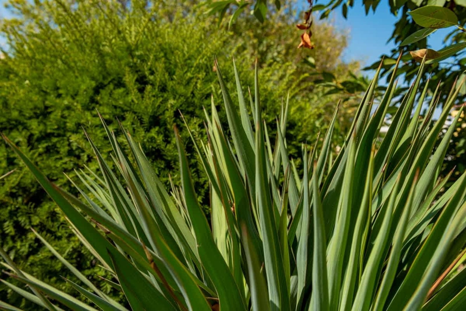 Family Apartment with Sea View in Apolon - Photo 6