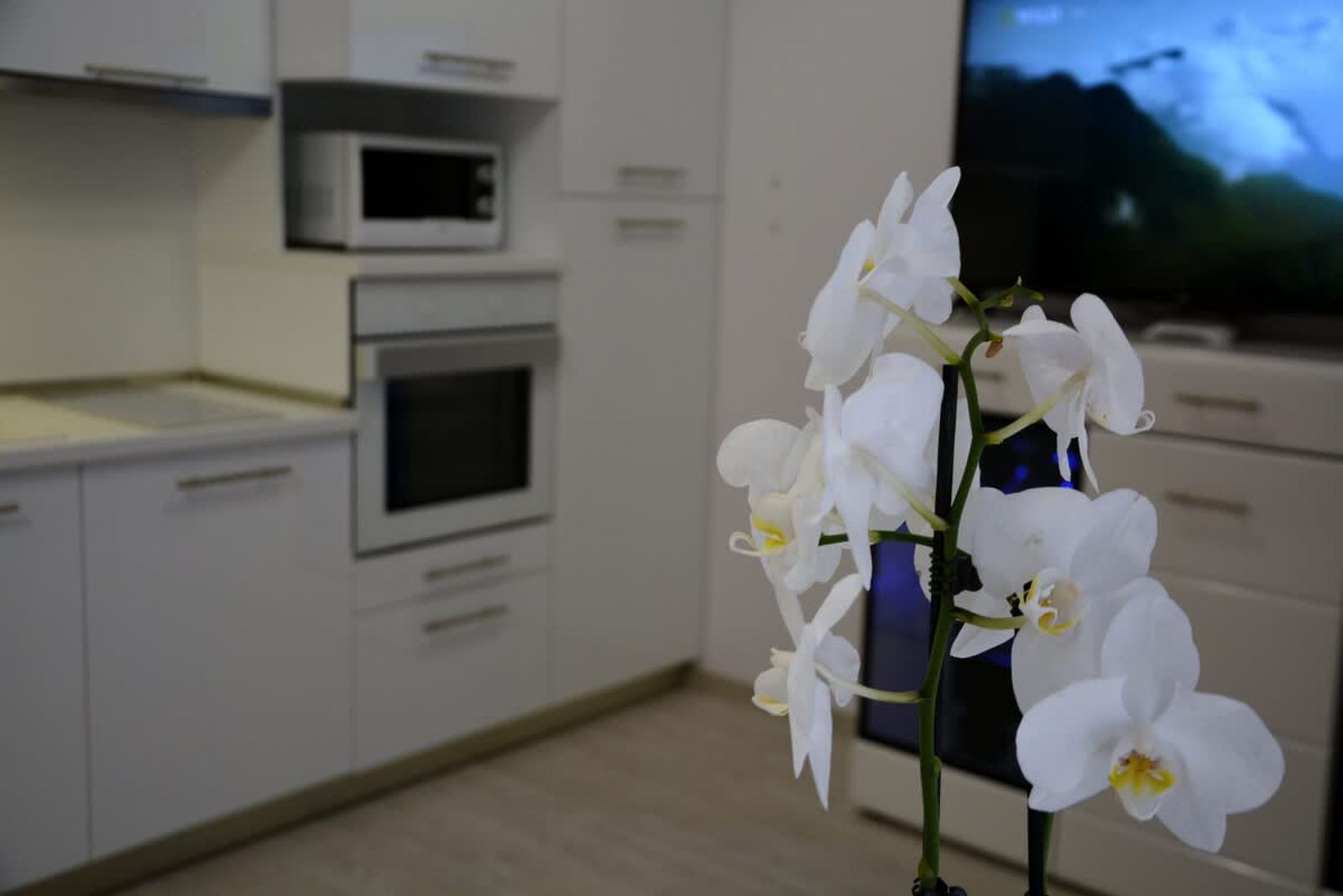 Unbeatable Location: New Lux Apartment Varna beach - Photo 38