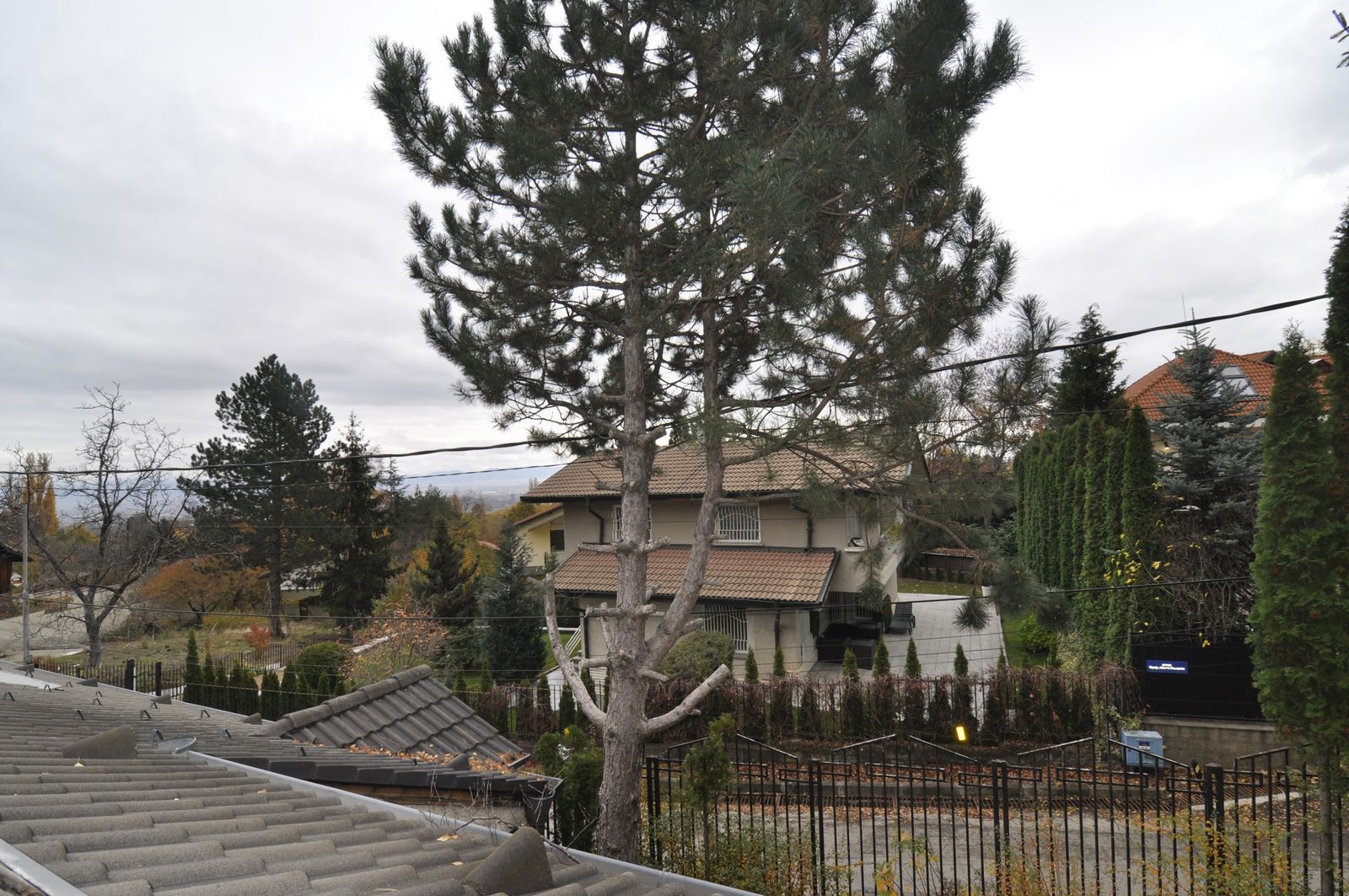 The Mosaic House - Photo 77