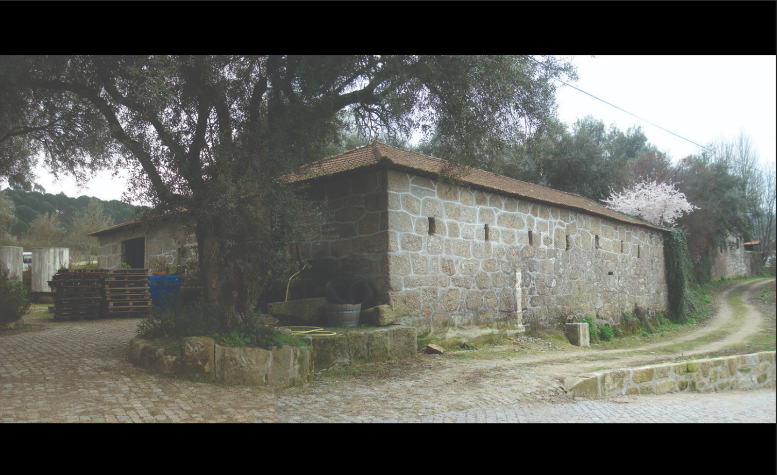 Adega Casa da Torre - Photo 15