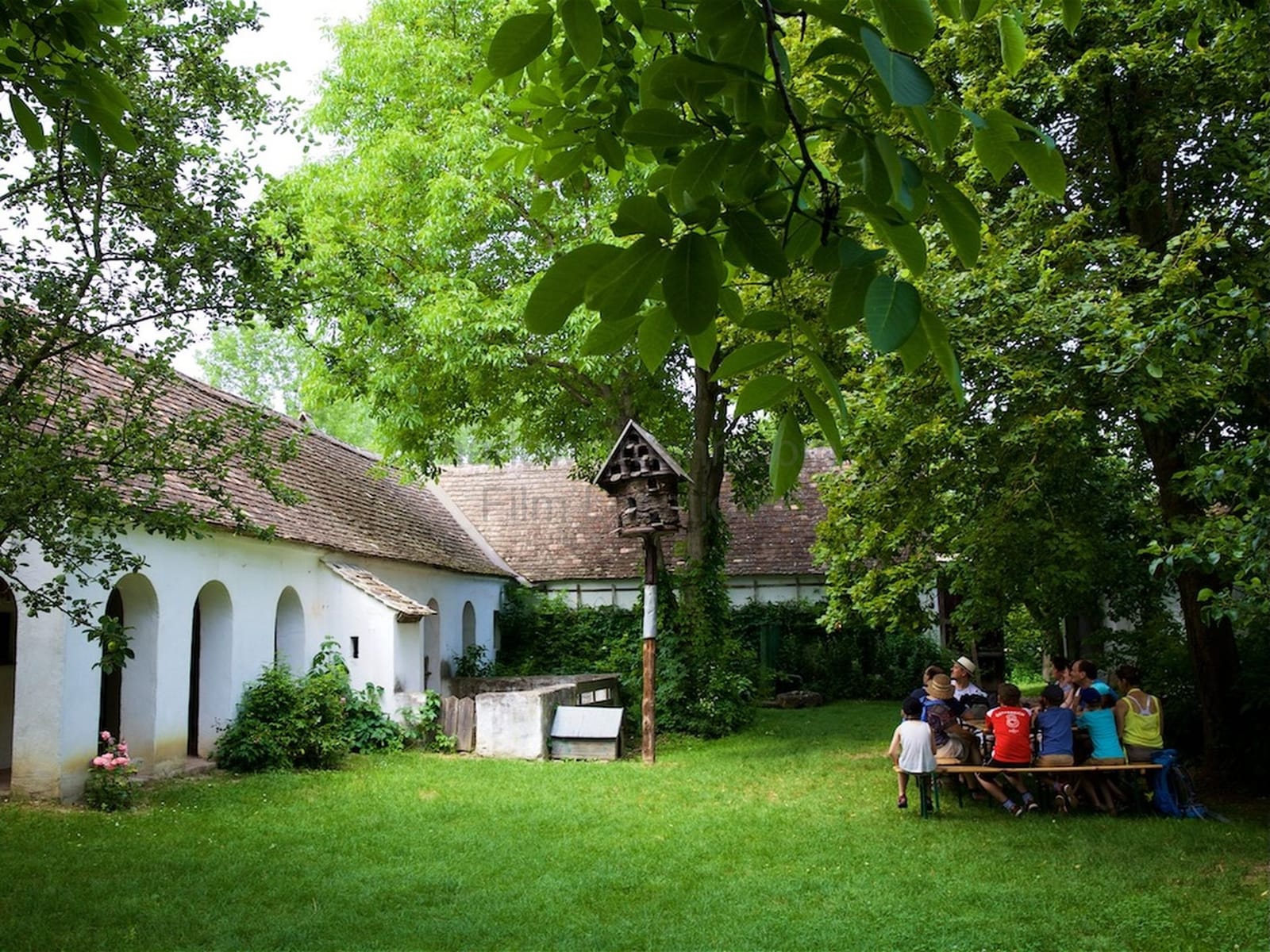 Location 501 - Photo 7