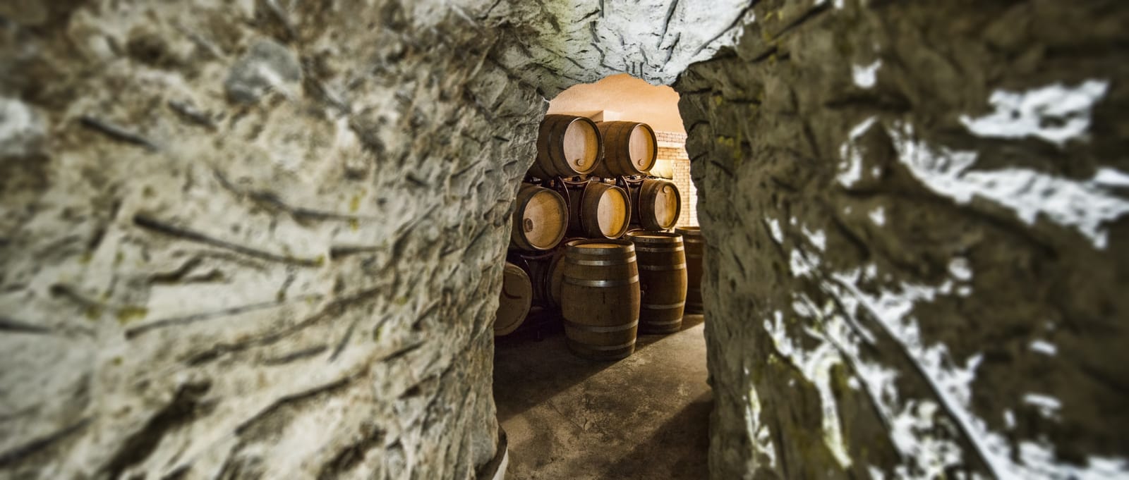 Villa Melnik - Photo 5