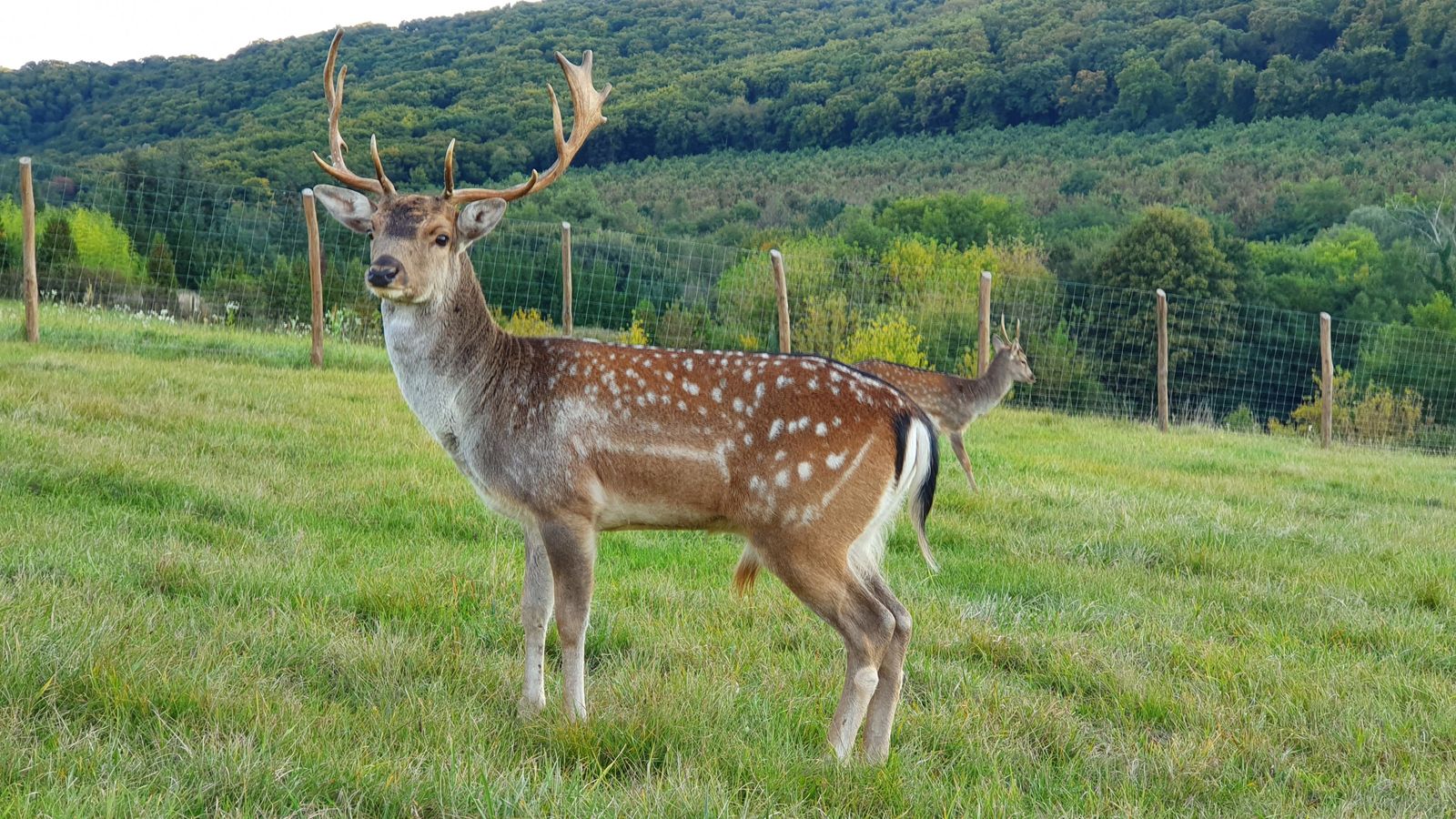 20 hectare traditional ranch - Photo 5