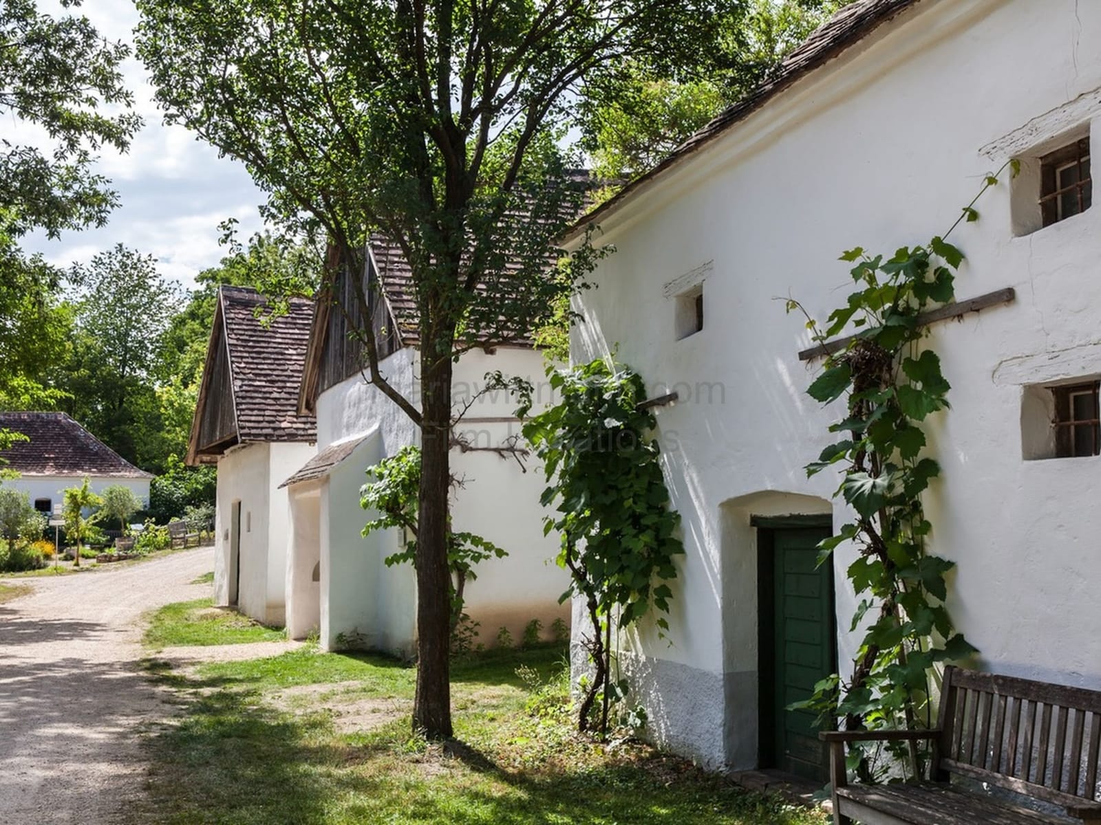 Location 501 - Photo 3