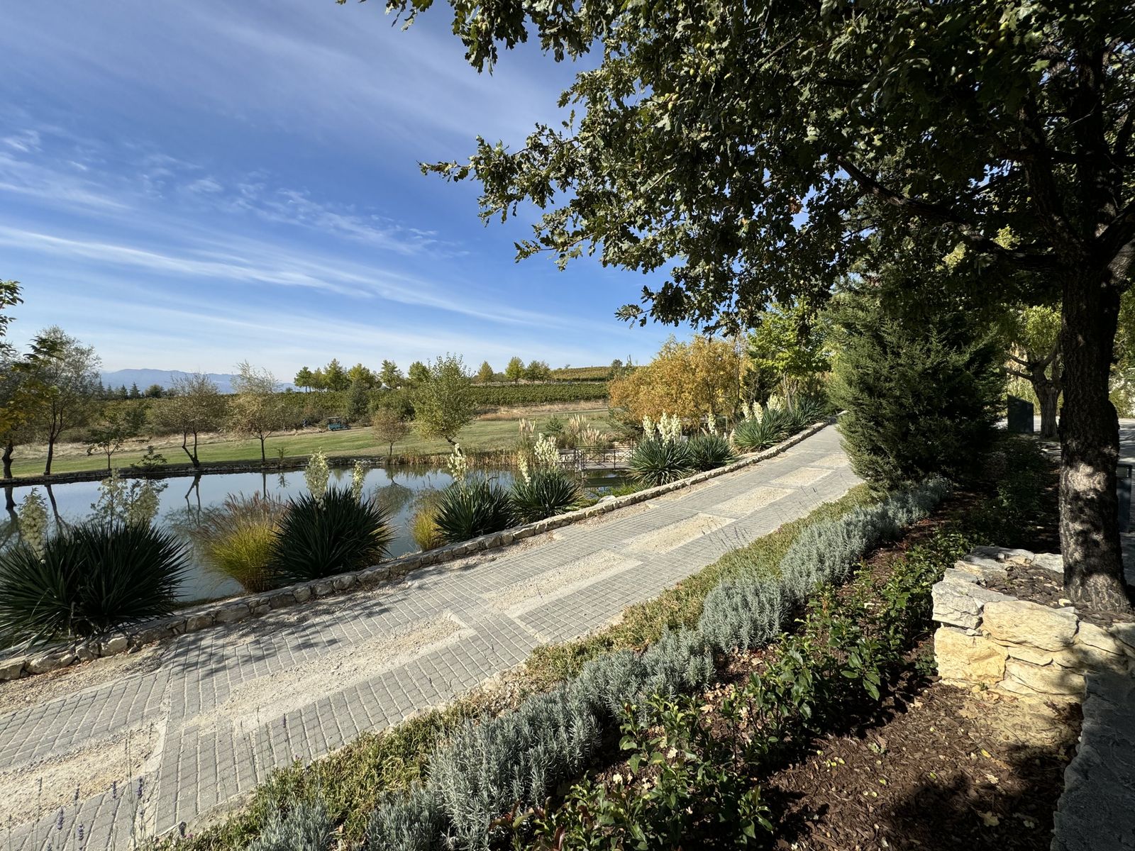 Zornitza Family Estate - Hotel - Photo 43