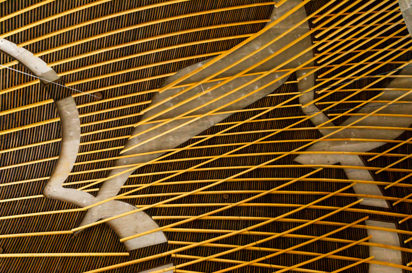 San Giacomo Apostolo Church - Photo 5