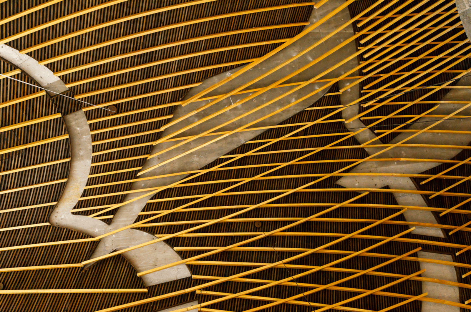 San Giacomo Apostolo Church - Photo 5