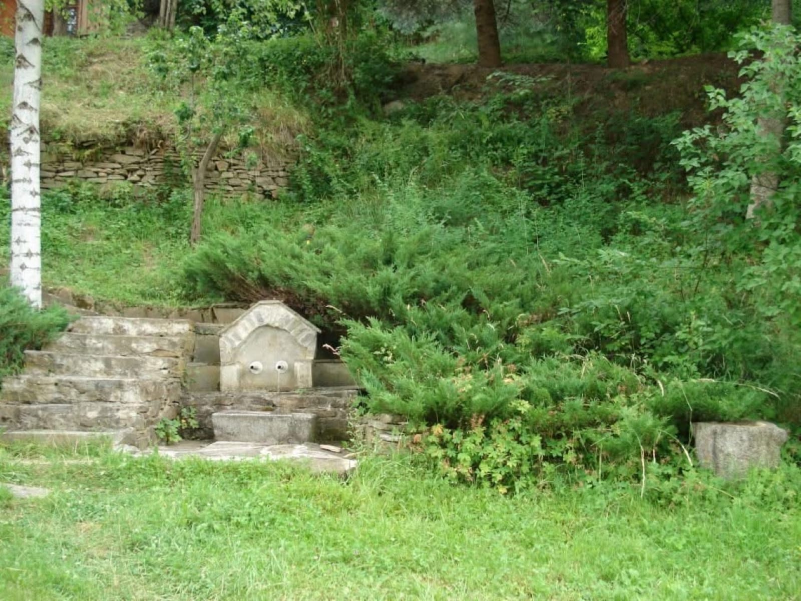 Old Marko's House Park and Lounge - Photo 12