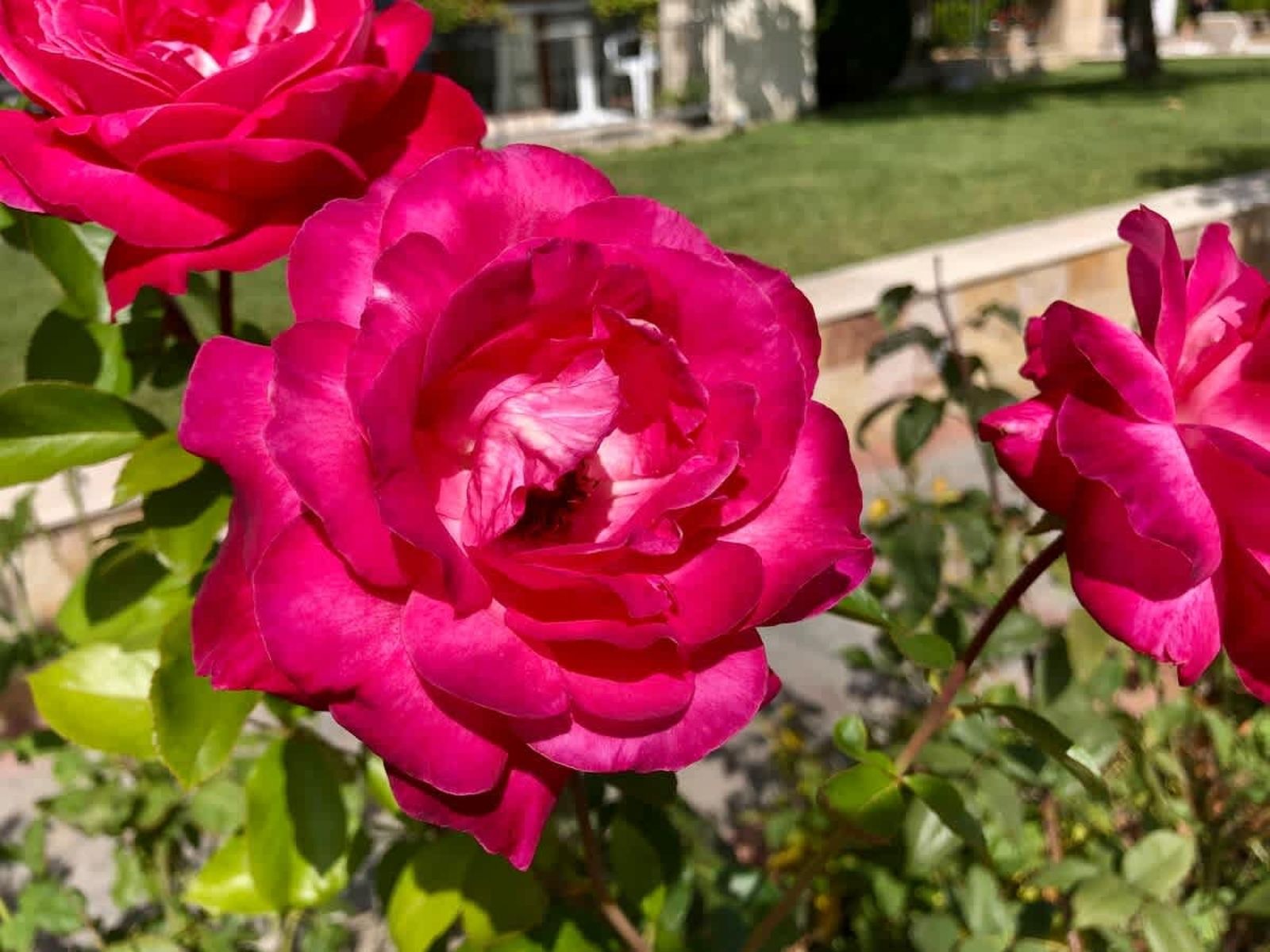 Sorrento Cozy Studio - Photo 8