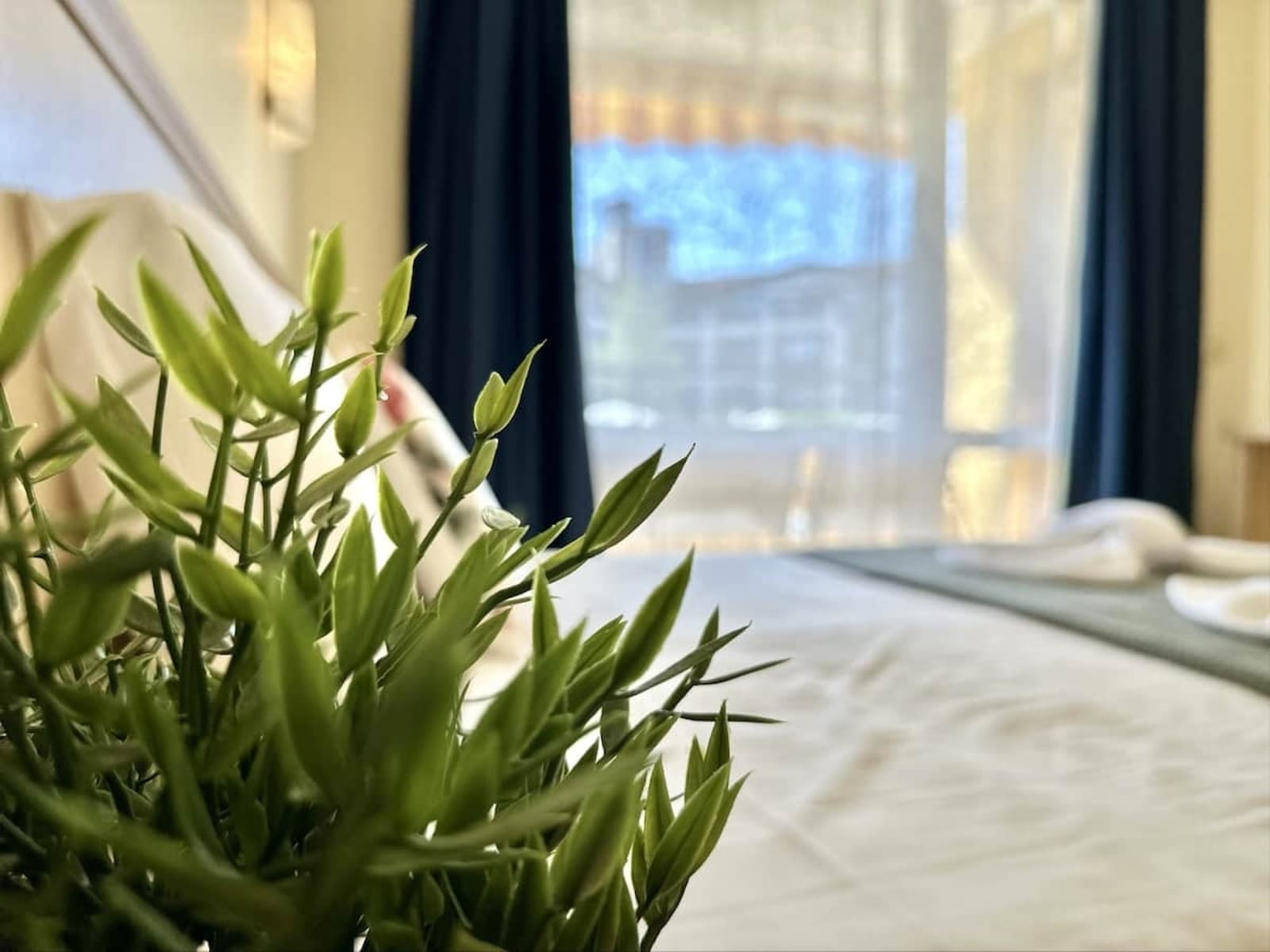 Paradise Dreams Cozy apartment with balcony - Photo 36