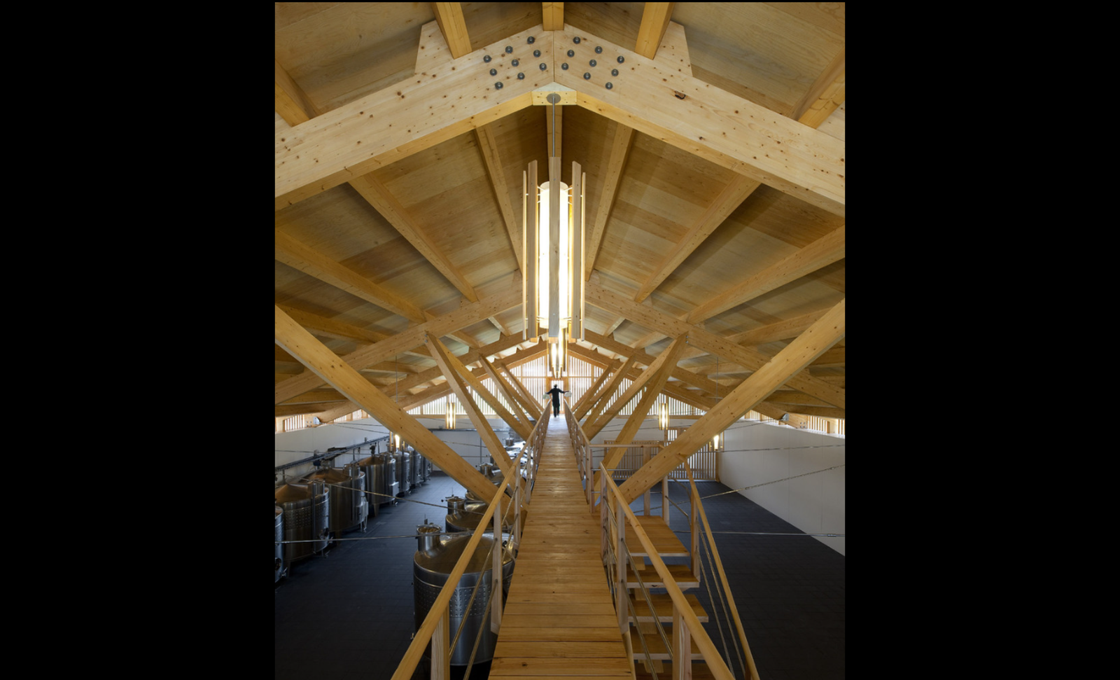 Adega Casa da Torre - Photo 5