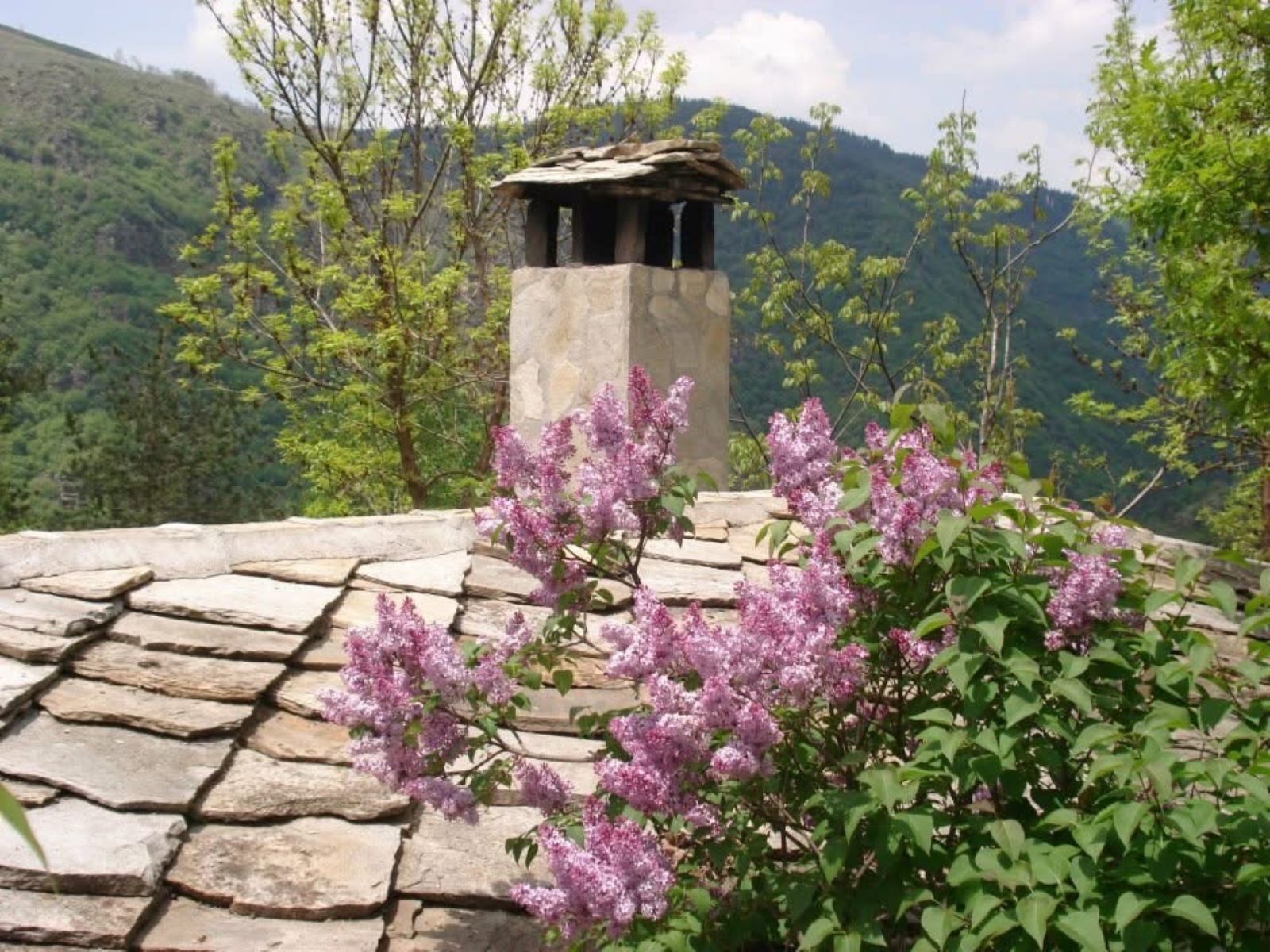 Old Marko's House Park and Lounge - Photo 9