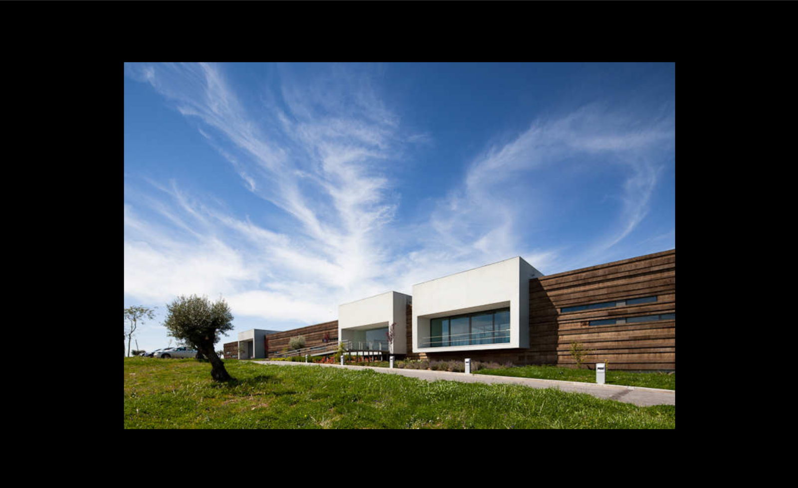 Logowines Winery - Photo 6