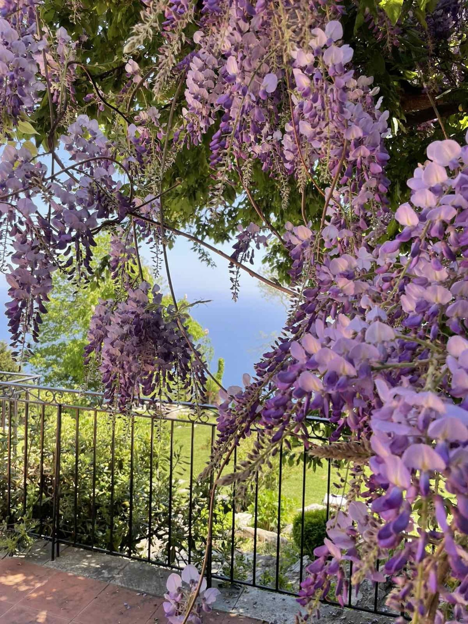 Small Luxury Hotel like an old Traditional house in Pelion with amazing garden and breathteking sea view to the agean. - Photo 23
